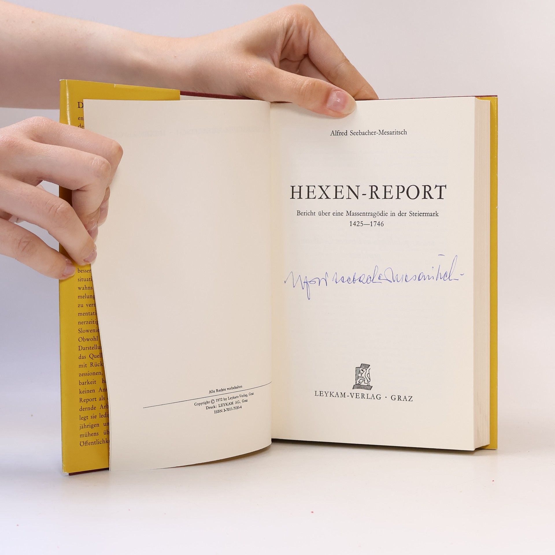 Alfred Seebacher Mesaritsch Hexen-Report