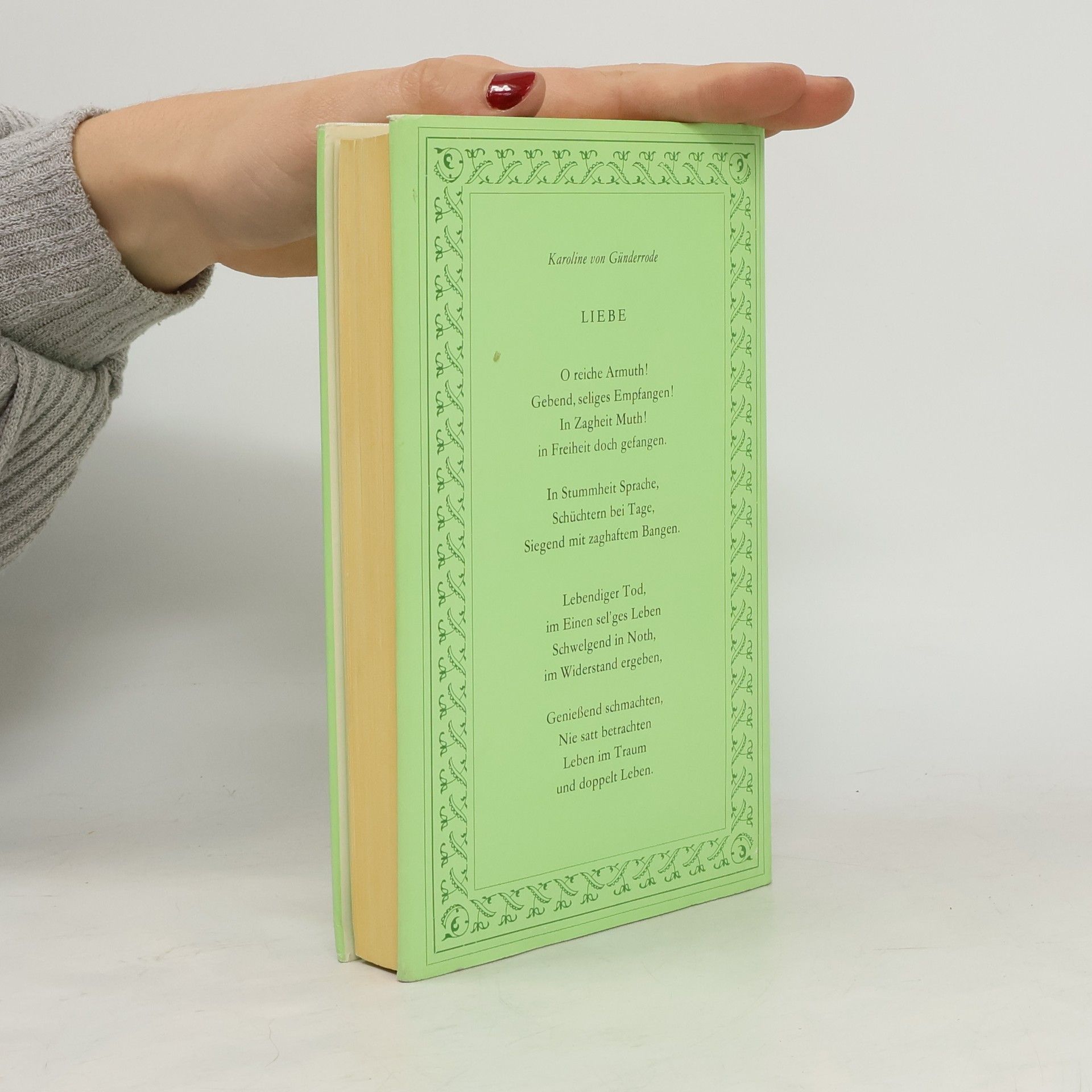 Karolina Günder Der Schatten eines Traumes