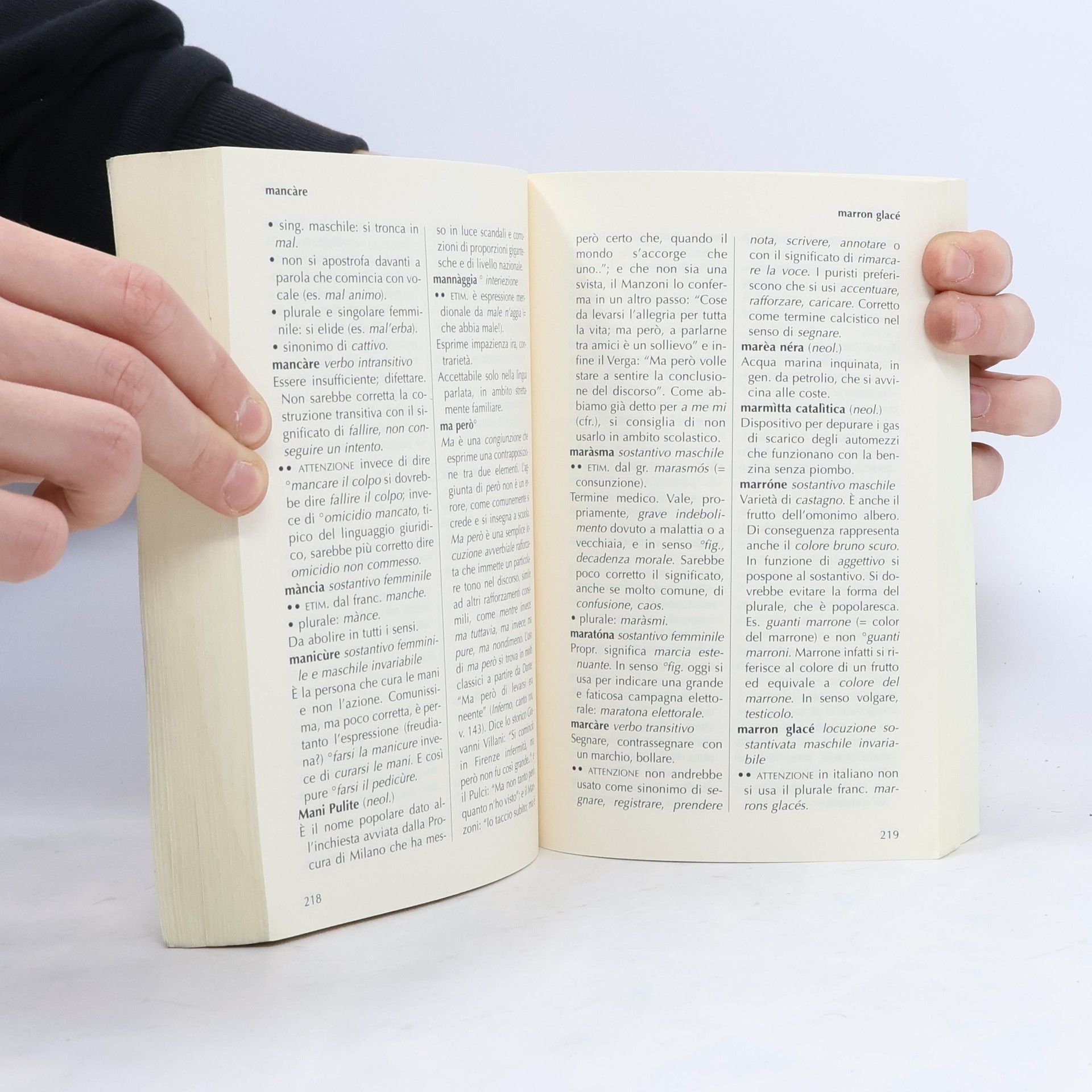 Auteurscollectief Dizionario Errori