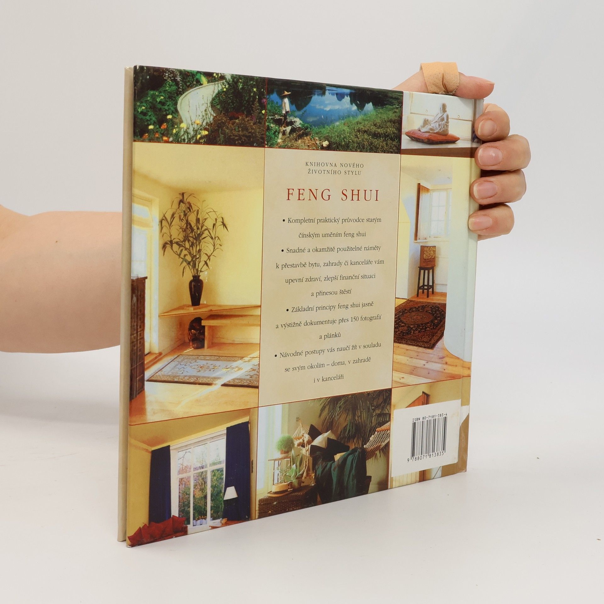 Richard Templar Feng shui