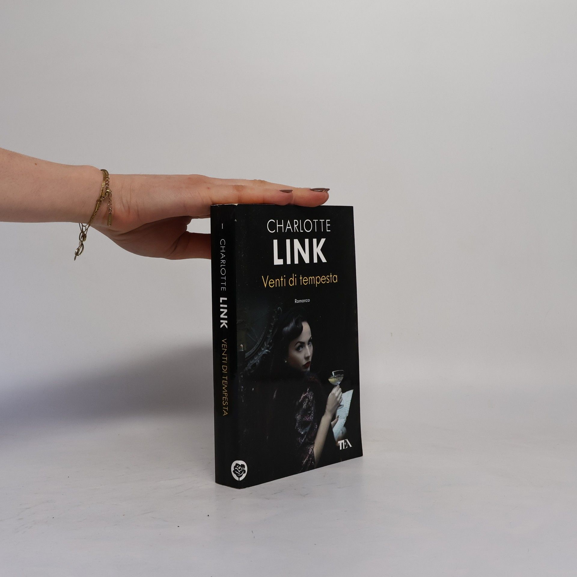 Charlotte Link Venti di tempesta