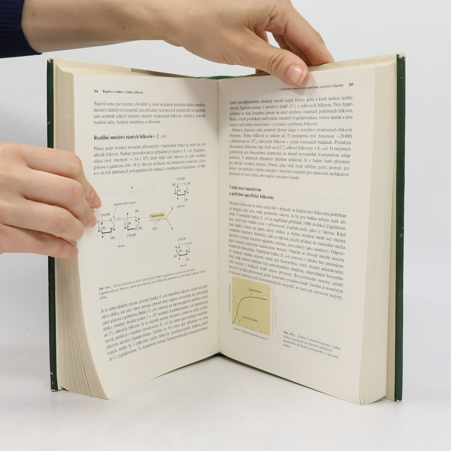James D. Watson Molekulární biologie genu
