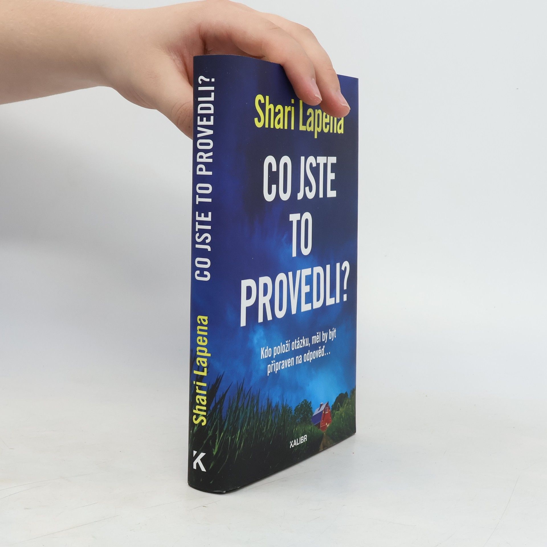 Shari Lapena Co jste to provedli?