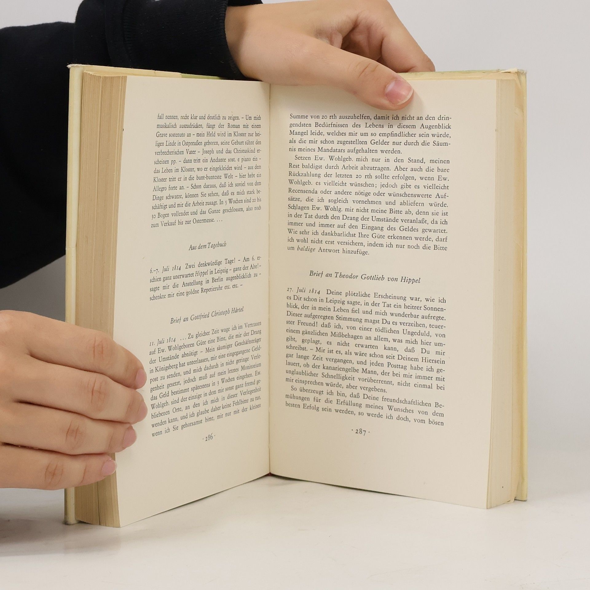 Ernst T. A. Hoffmann Leben und Werk in Briefen, Selbstzeugnissen und Zeitdokumenten