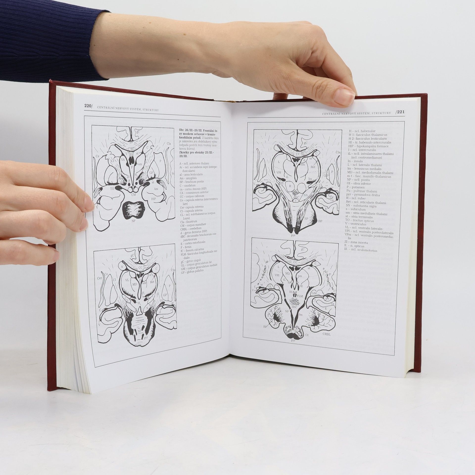 Pavel Petrovický Anatomie s topografií a klinickými aplikacemi. III. svazek, Neuroanatomie, smyslová ústrojí a kůže