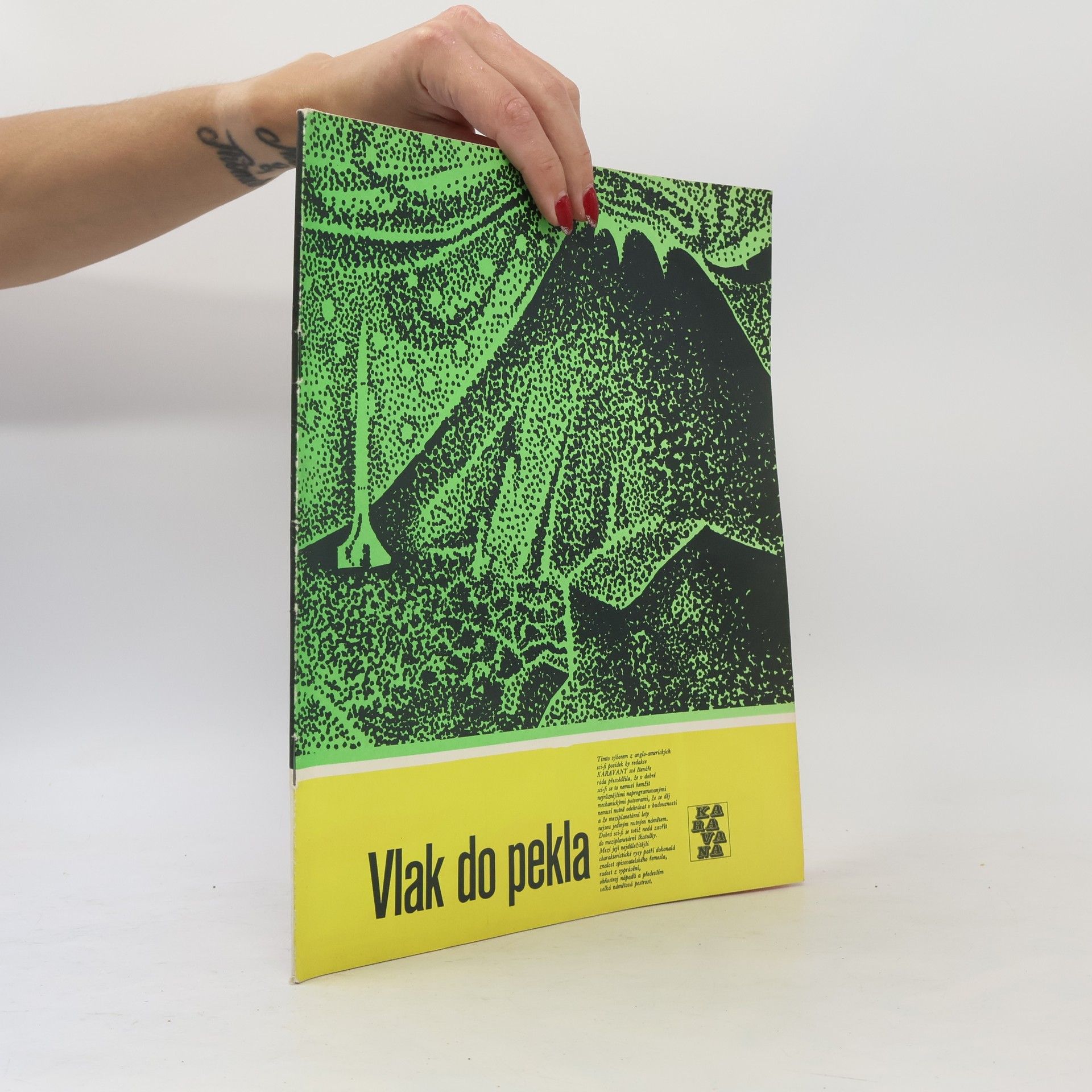Kolektiv autorů Vlak do pekla