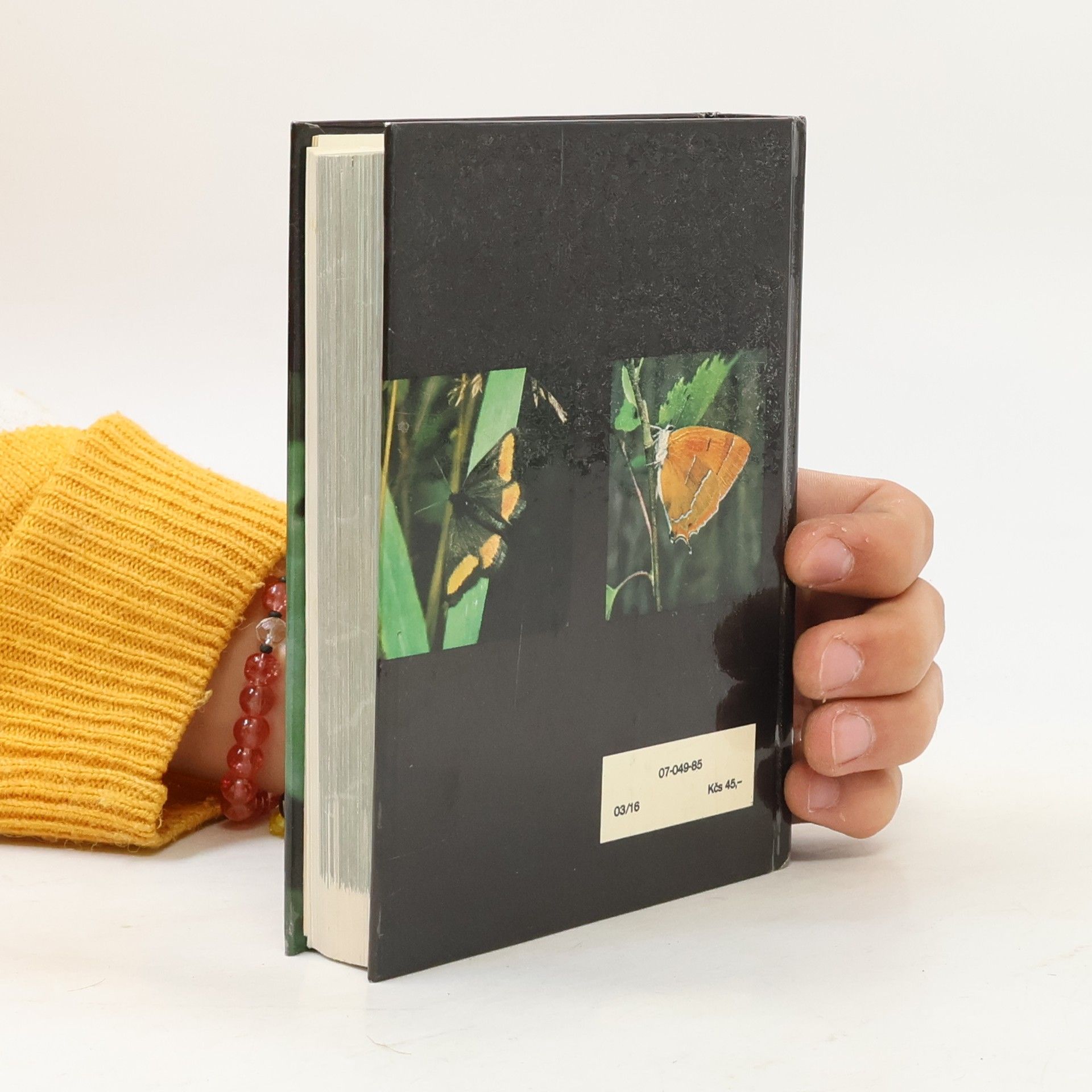 Rudolf Hrabák Kapesní atlas našich motýlů