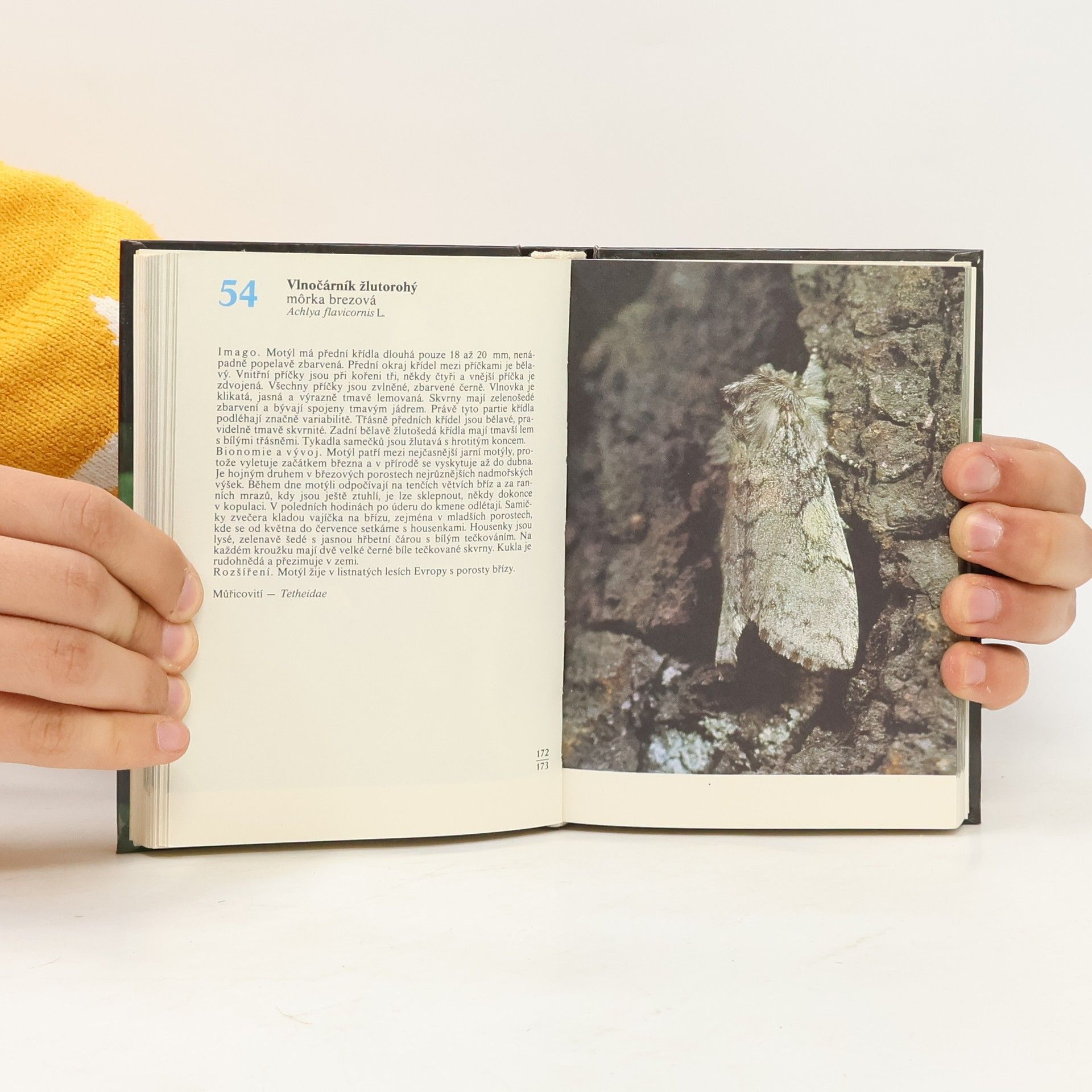 Rudolf Hrabák Kapesní atlas našich motýlů