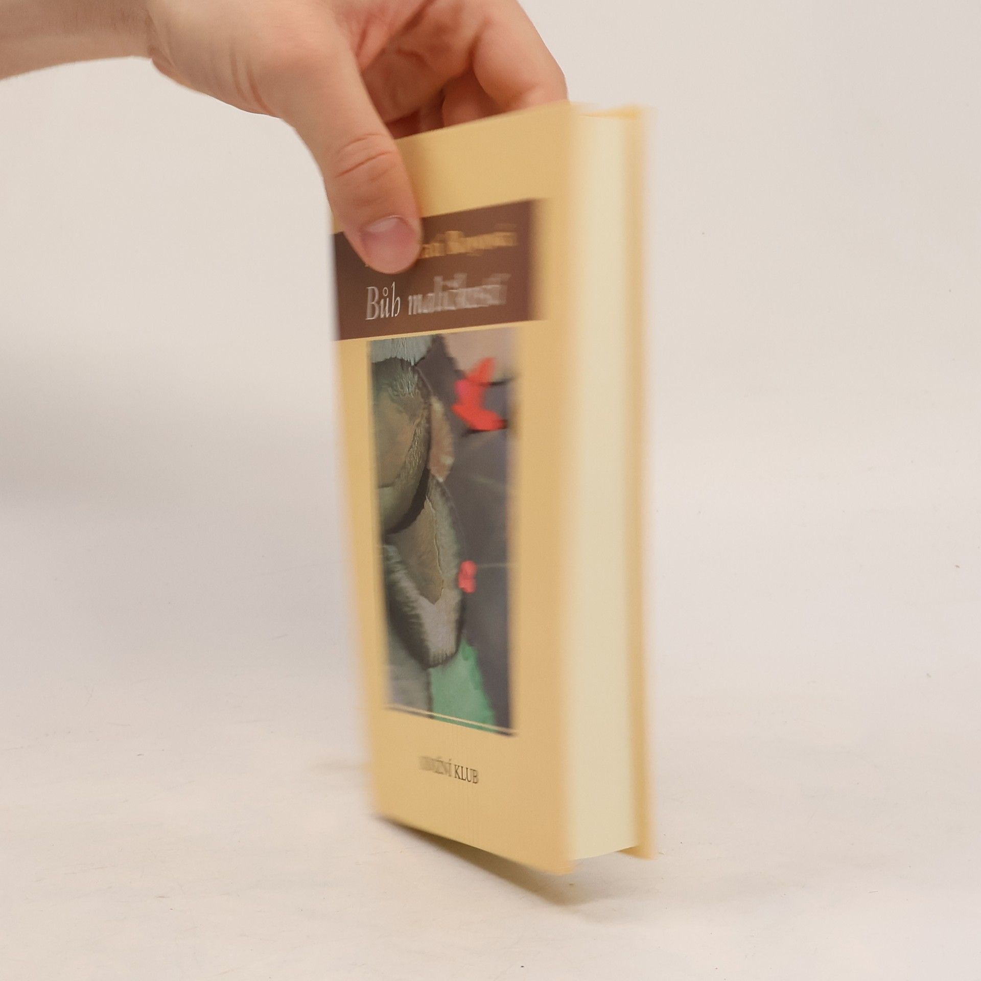 Arundhati Roy Bůh maličkostí