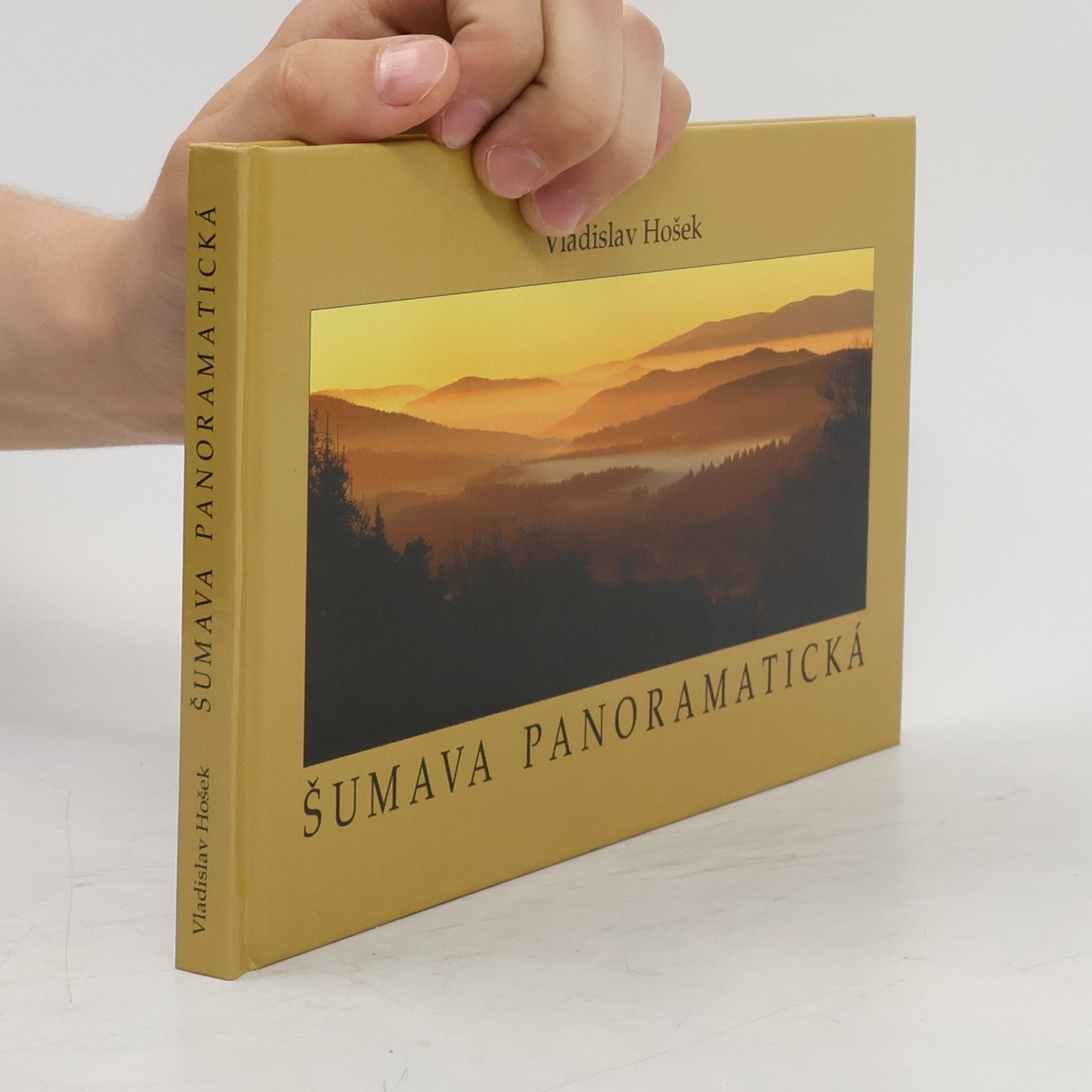 Vladislav Hošek Šumava panoramatická
