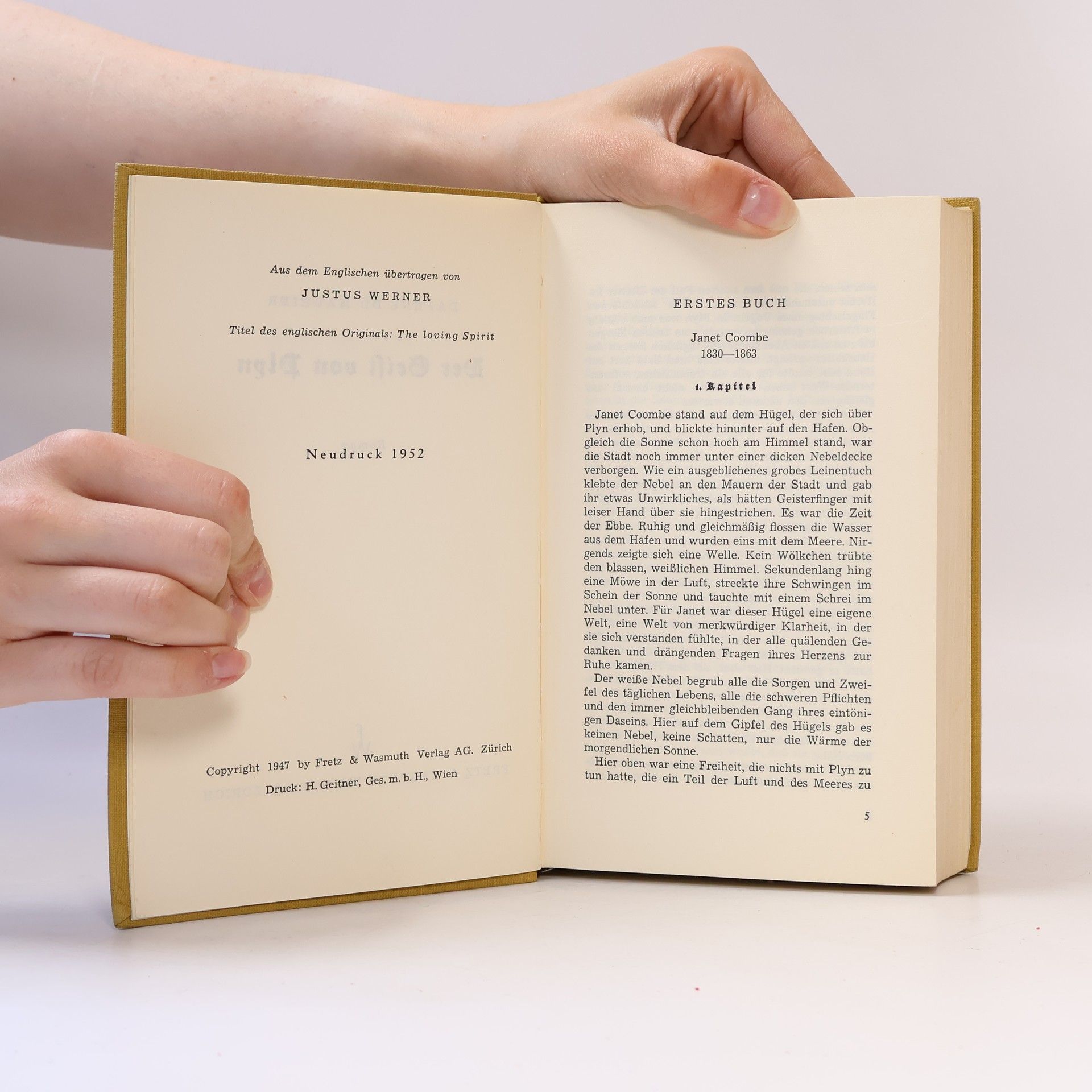 Daphne du Maurier Der Geist von Plyn