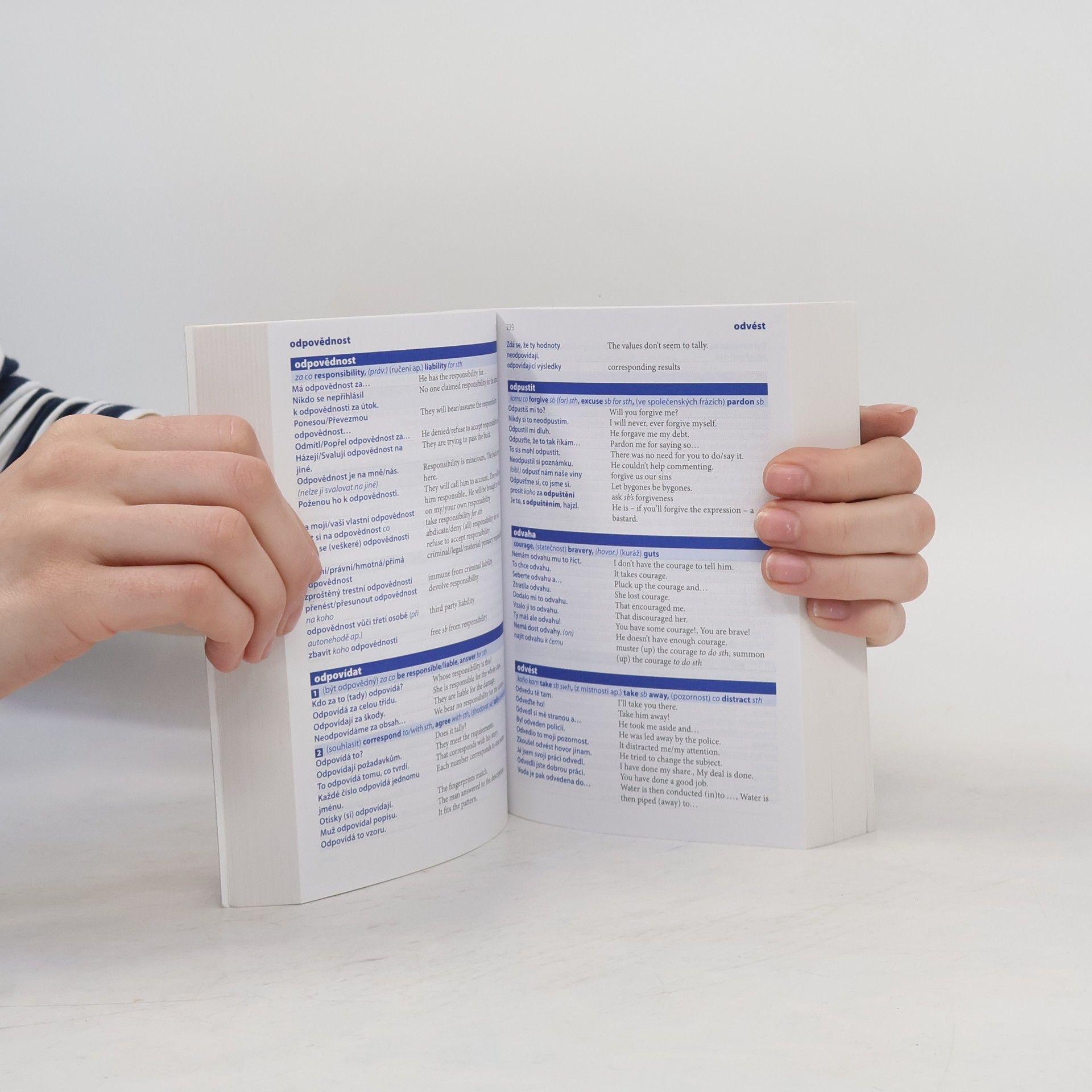 Autores varios Mluvník česko-anglický