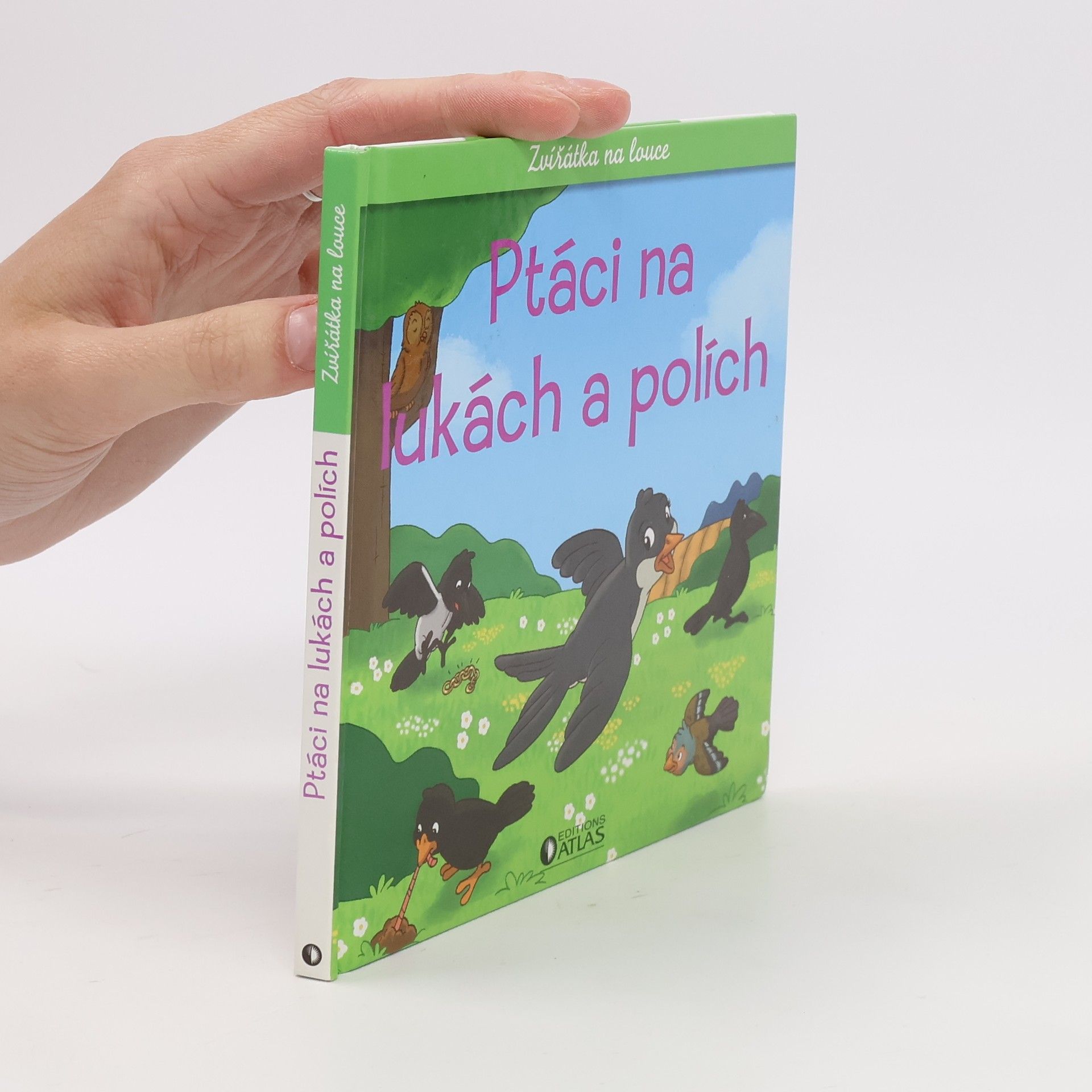 Kolektiv autorů Ptáci na lukách a polích