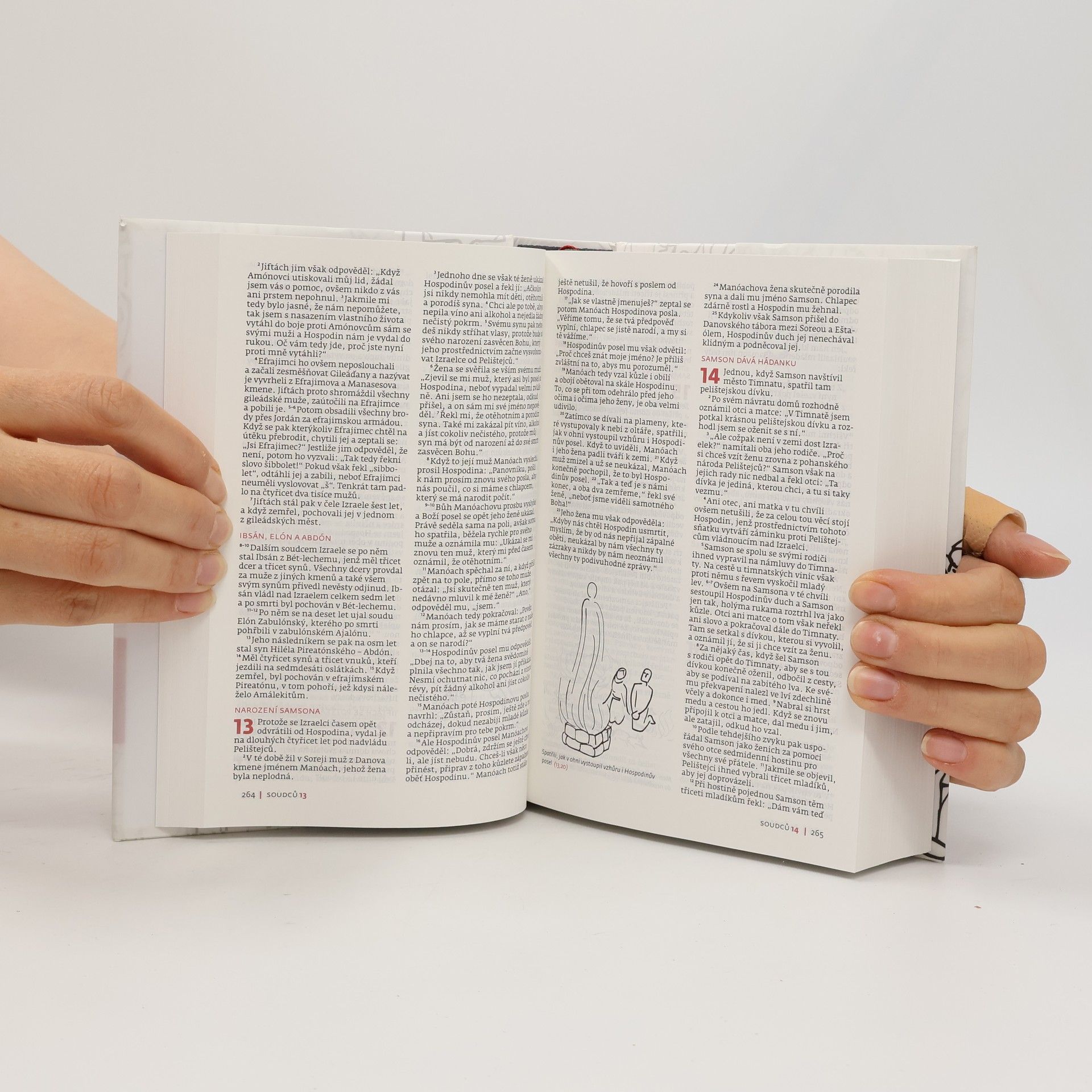 Collectif d'auteurs Slovo na cestu : Bible s ilustracemi