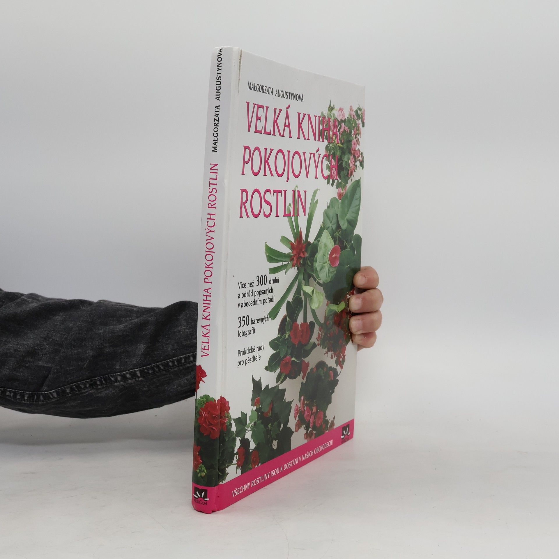 Małgorzata Augustyn Velká kniha pokojových rostlin