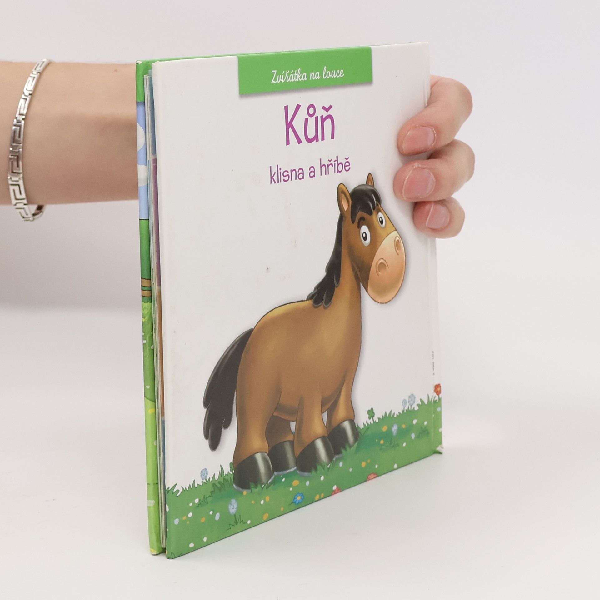 Autorenkollektiv Kůň