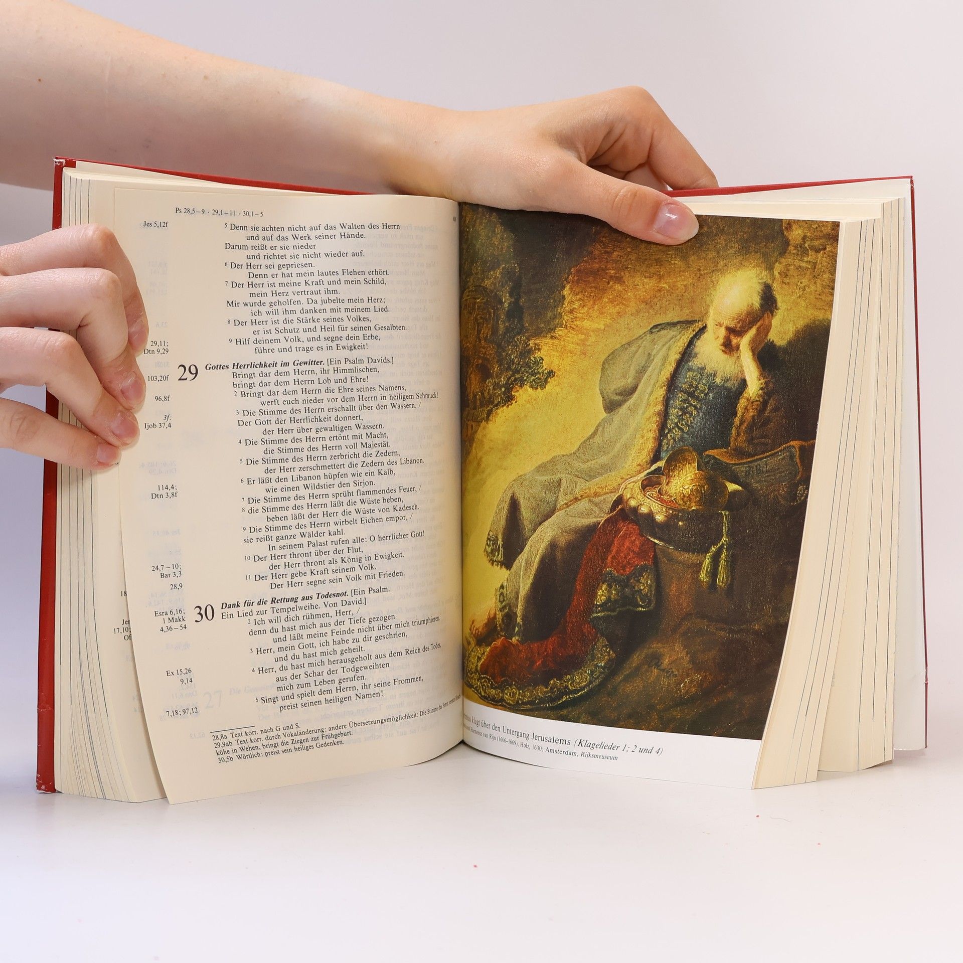 Autorenkollektiv Die Bibel