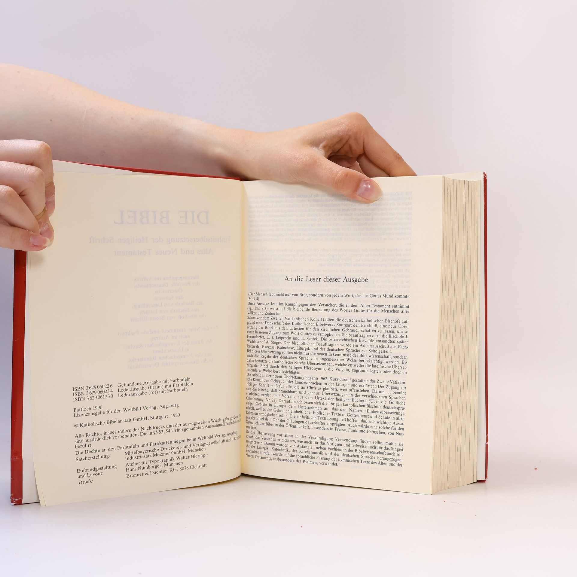 Autorenkollektiv Die Bibel