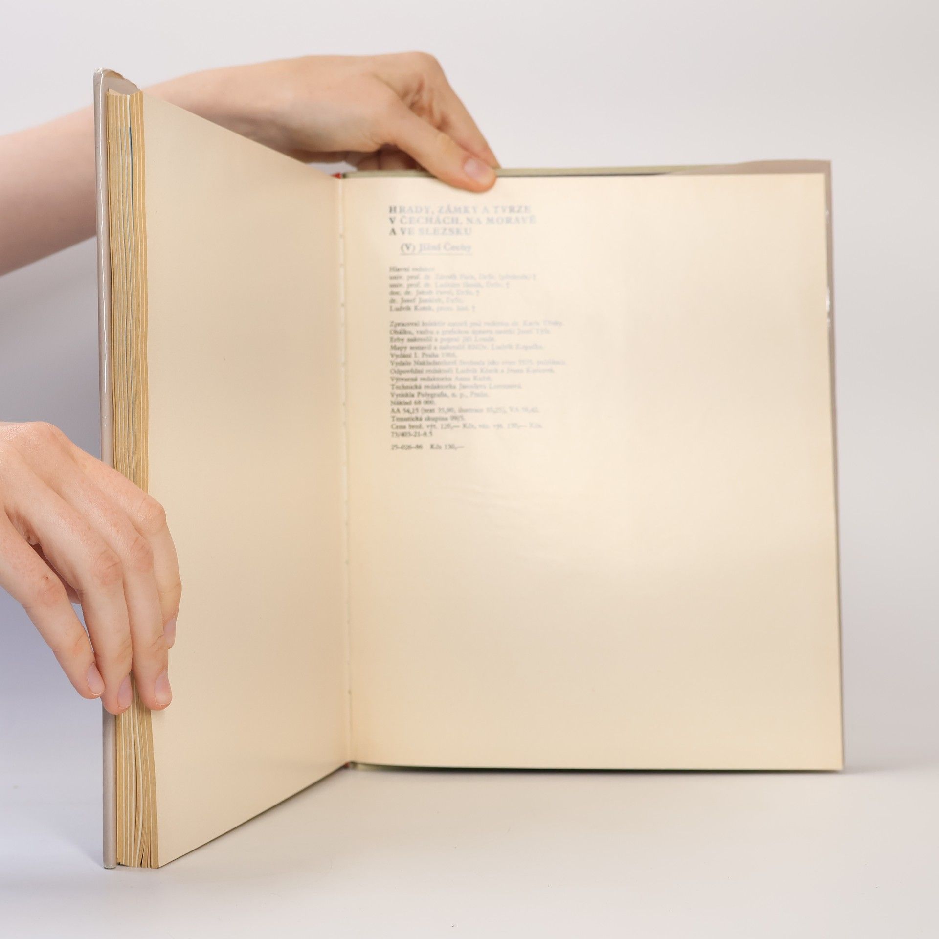 Autorenkollektiv Hrady, zámky a tvrze v Čechách, na Moravě a ve Slezsku V. Jižní Čechy
