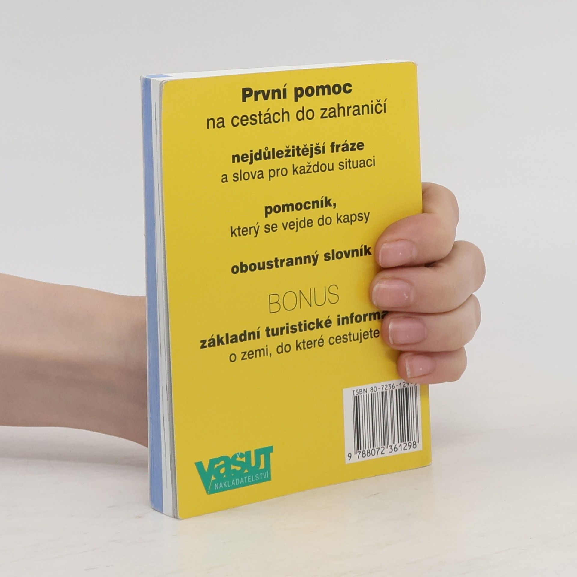 AA.VV. Angličtina: Jazykový průvodce