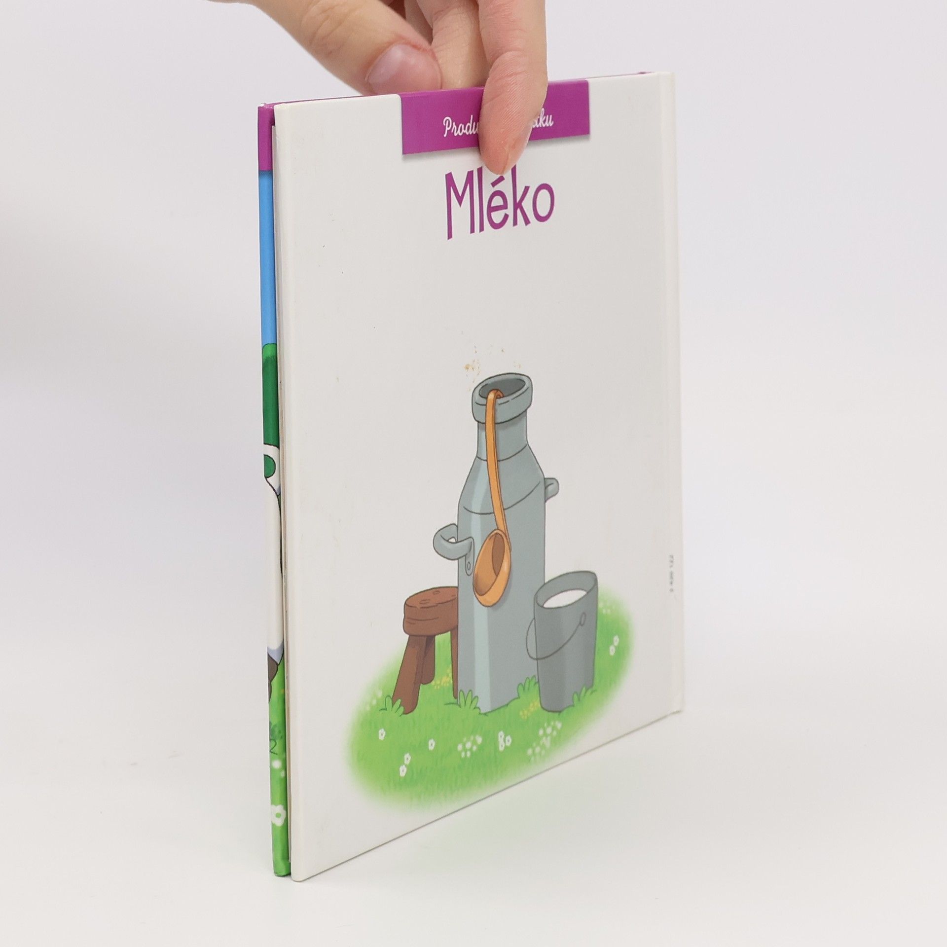 Kolektiv autorů Produkty ze statku - Mléko