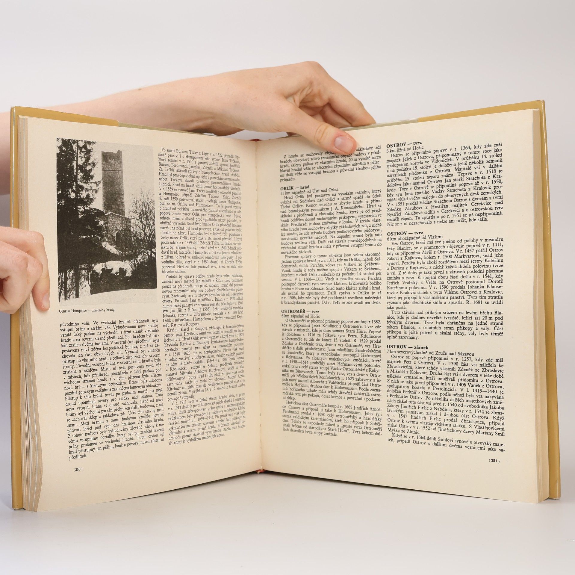 Various authors Hrady, zámky a tvrze v Čechách na Moravě a ve Slezsku VI. Východní Čechy