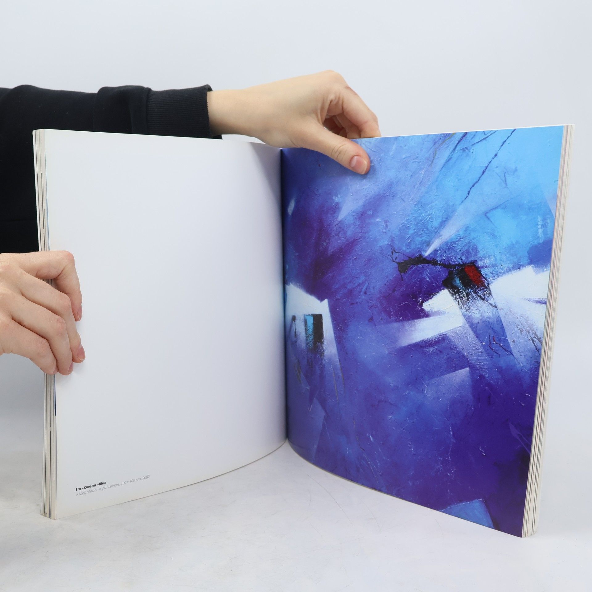 Autores varios Im Labyrinth der Seele
