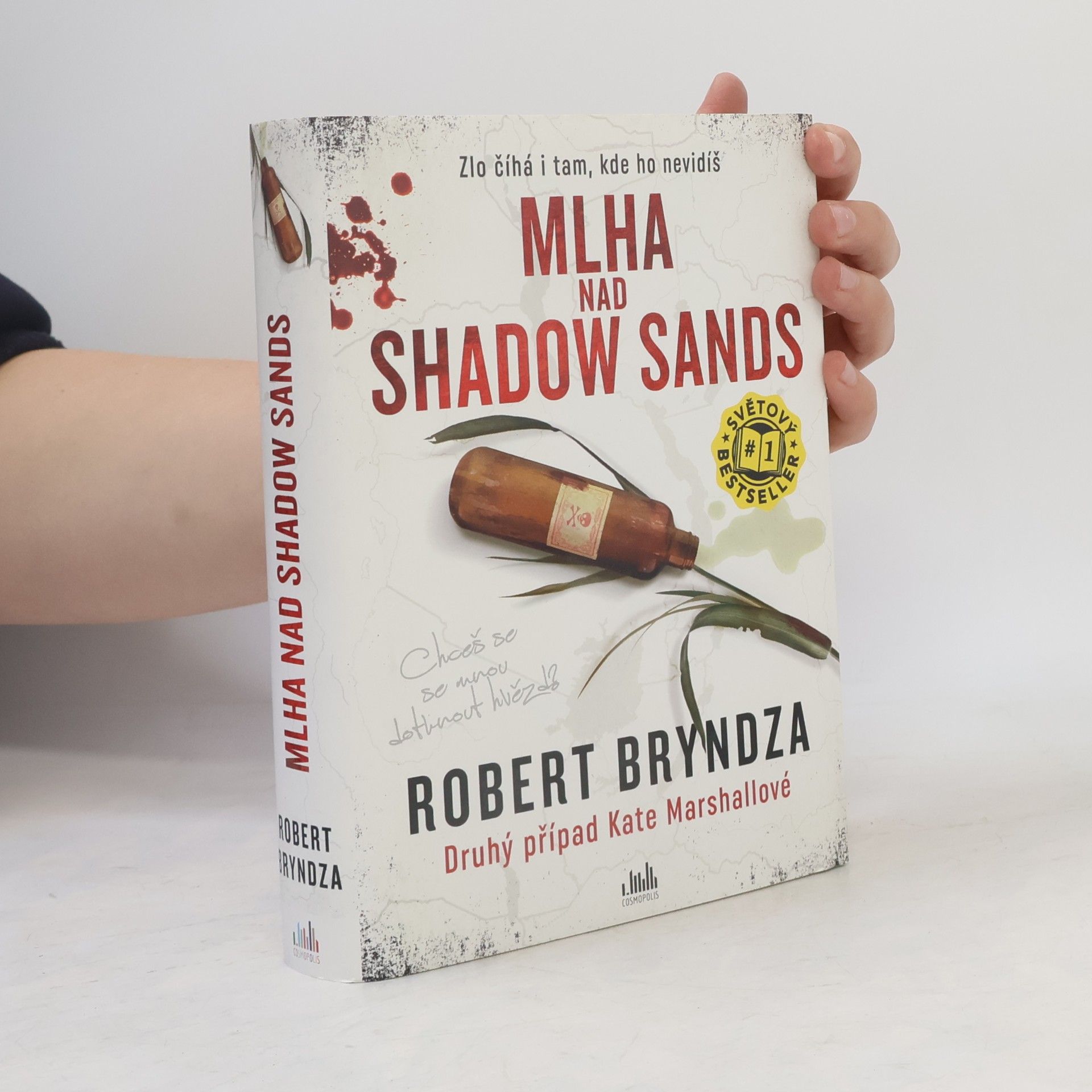 Robert Bryndza Mlha nad Shadow Sands