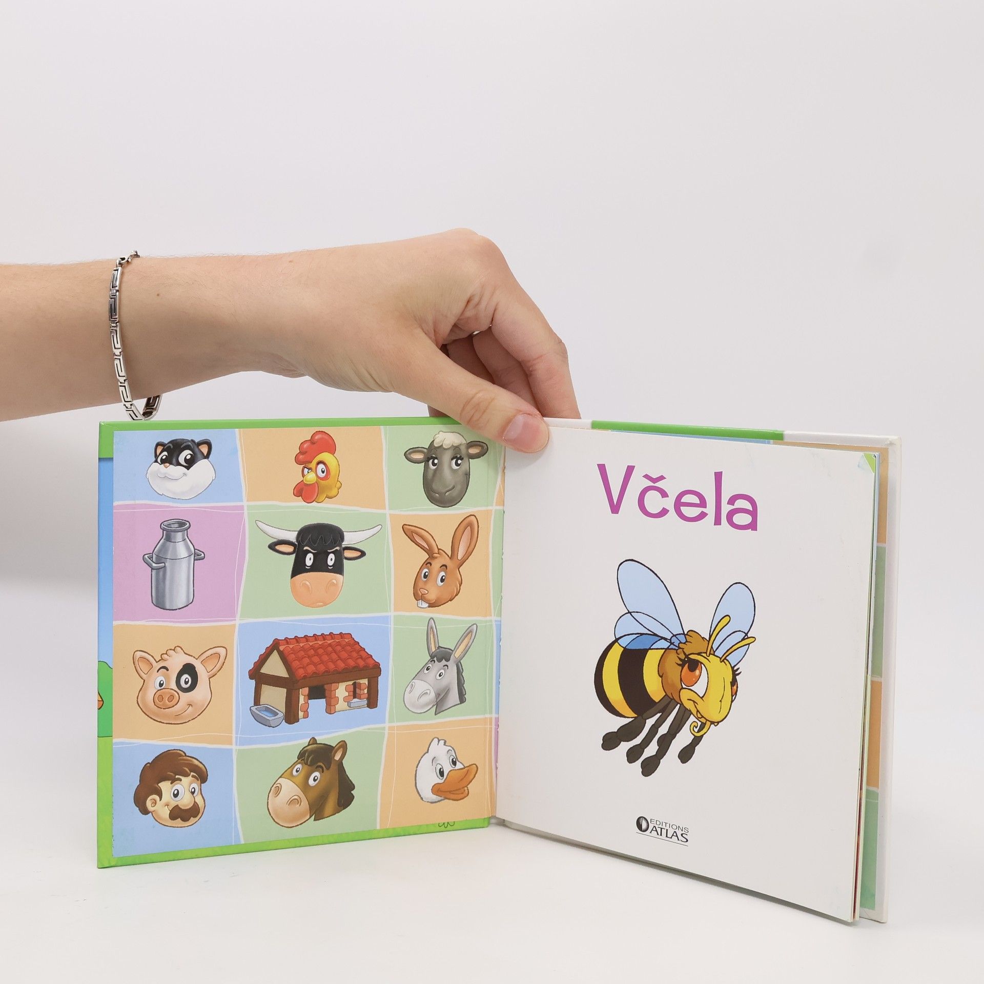 Kolektiv autorů Zvířatka na louce. Včela