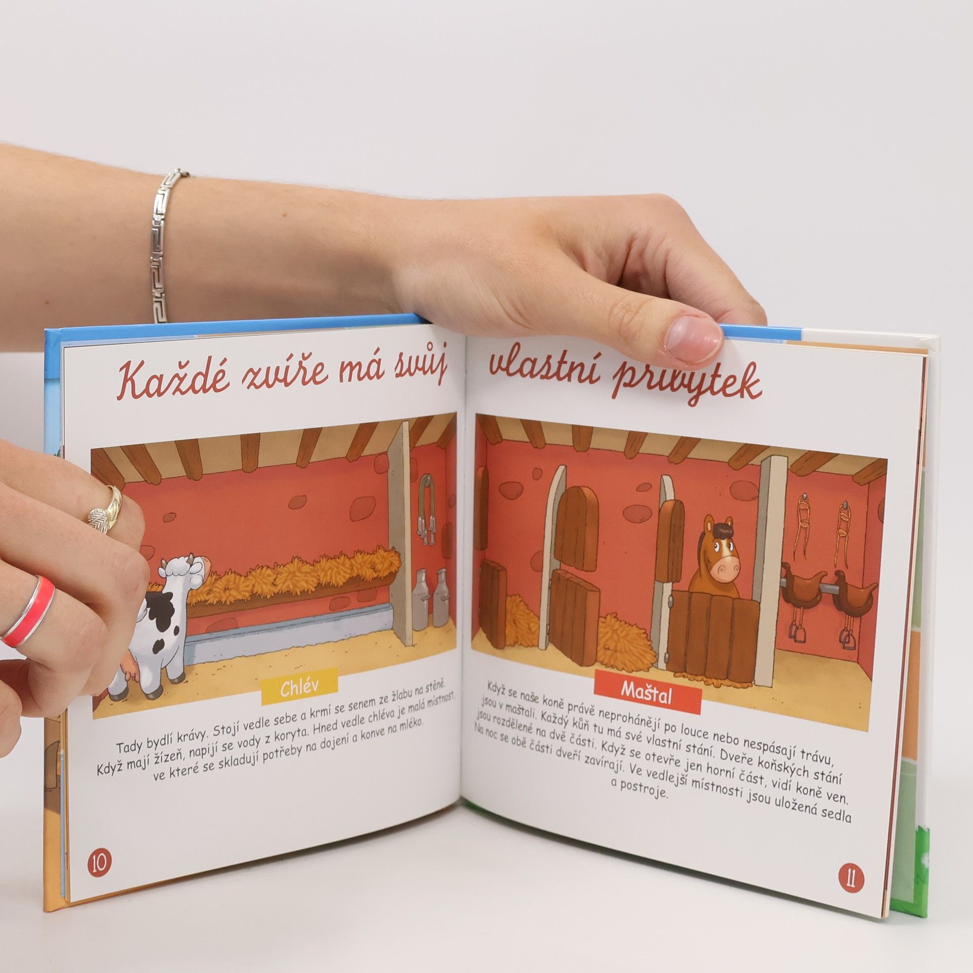 Kolektiv autorů Statek