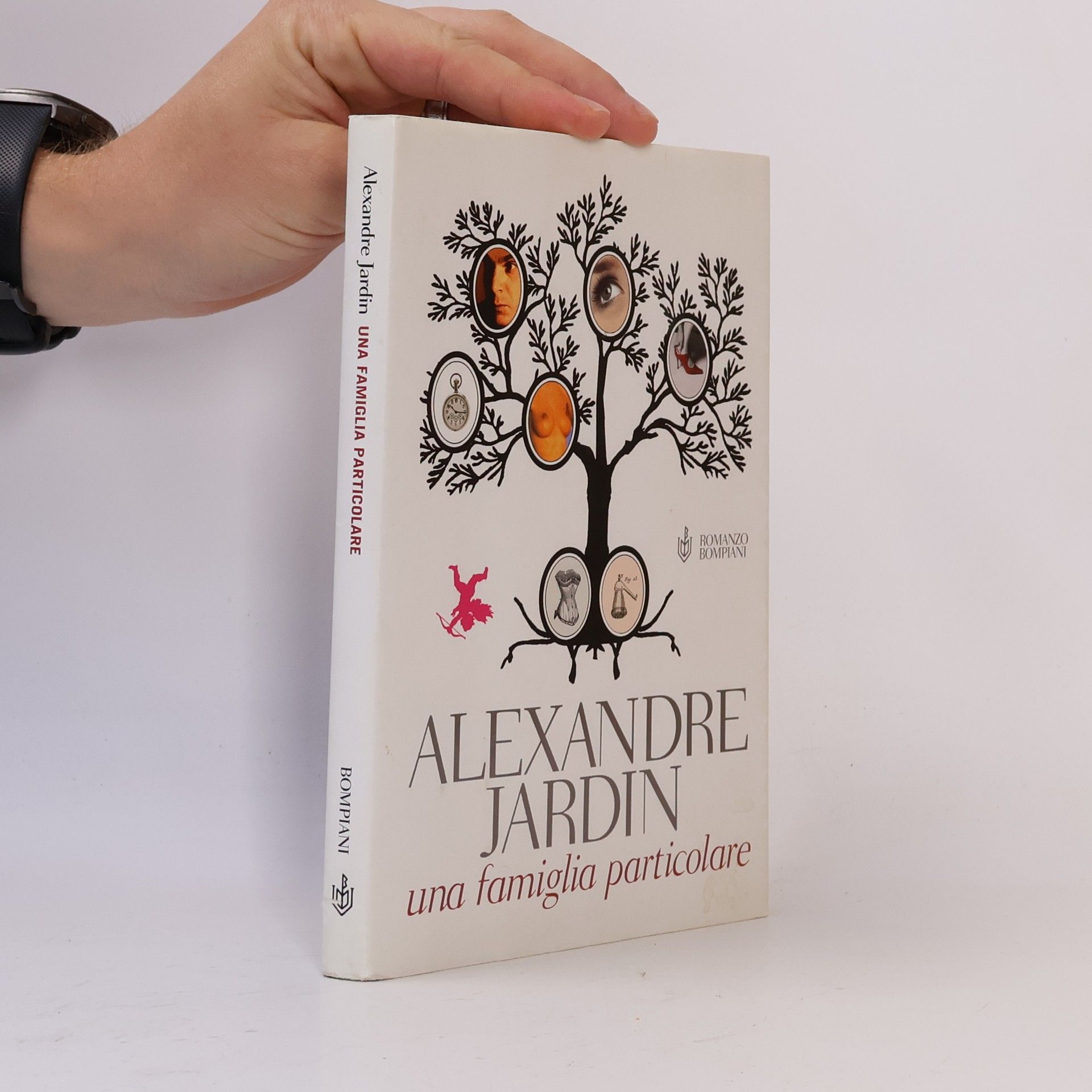 Alexandre Jardin Narrativa straniera: Una famiglia particolare