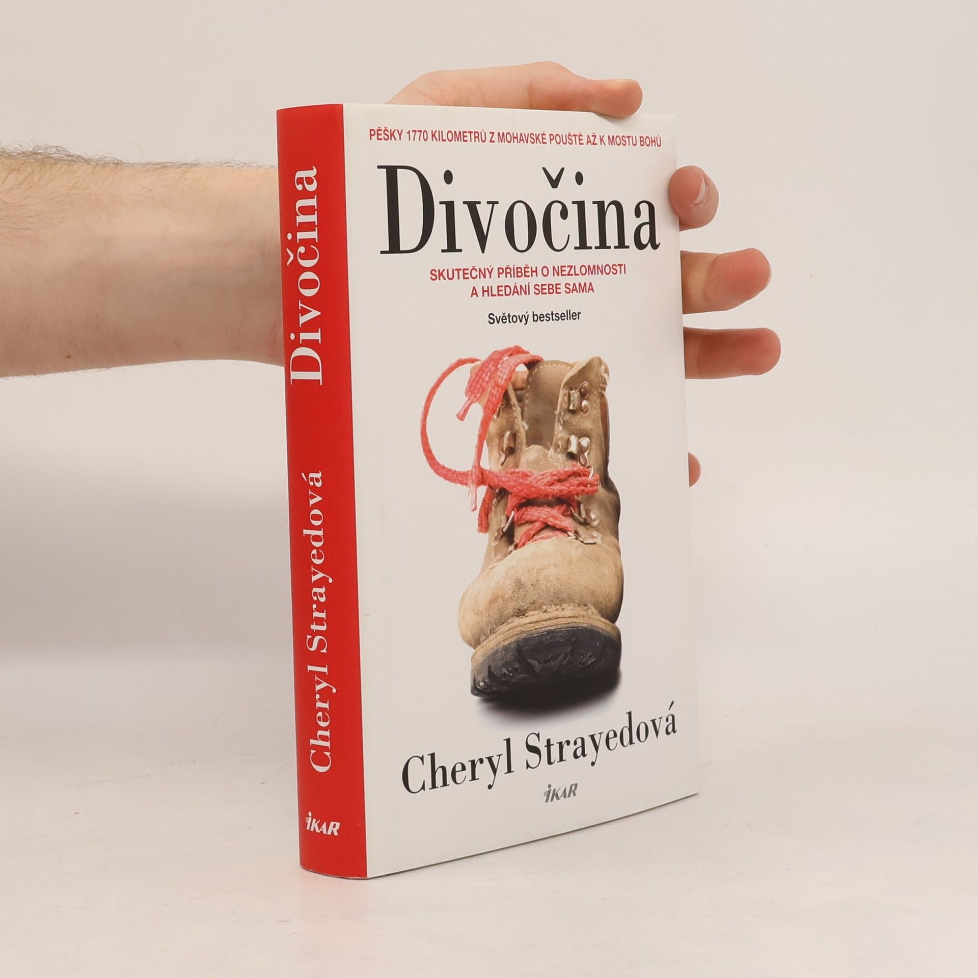 Cheryl Strayed Divočina