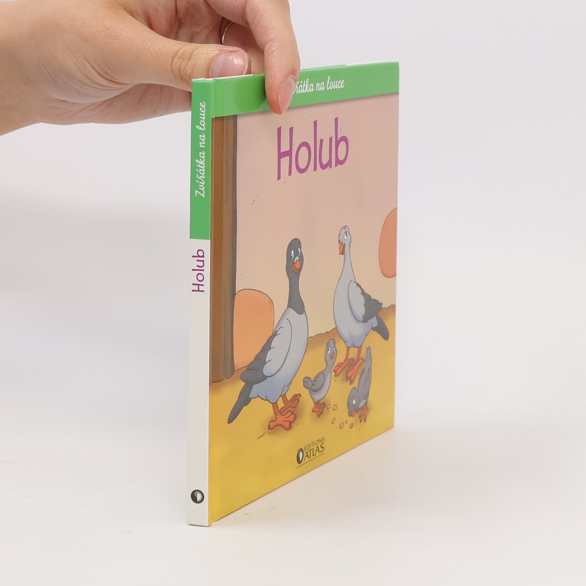 Autorenkollektiv Zvířátka na louce. Holub