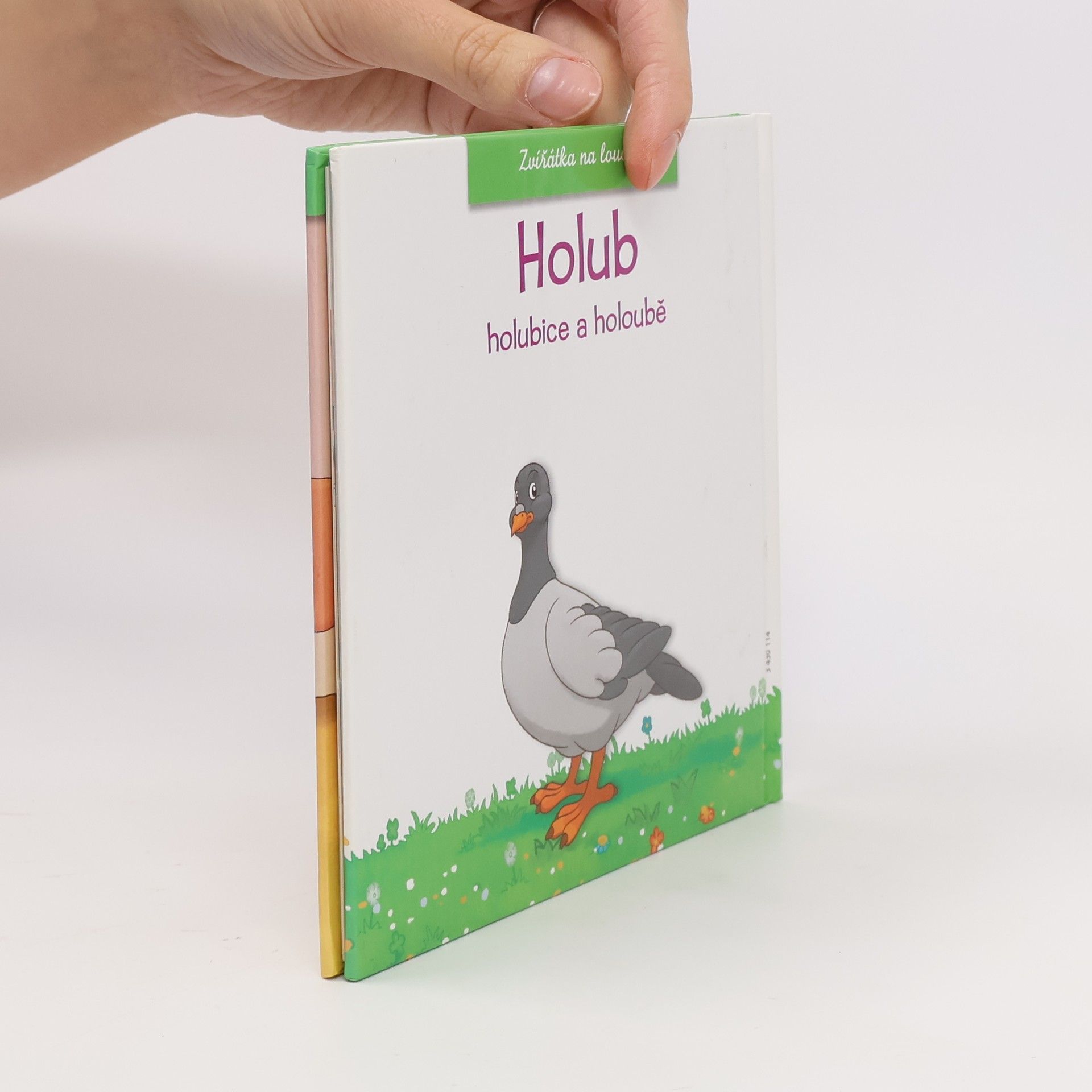 Autorenkollektiv Zvířátka na louce. Holub