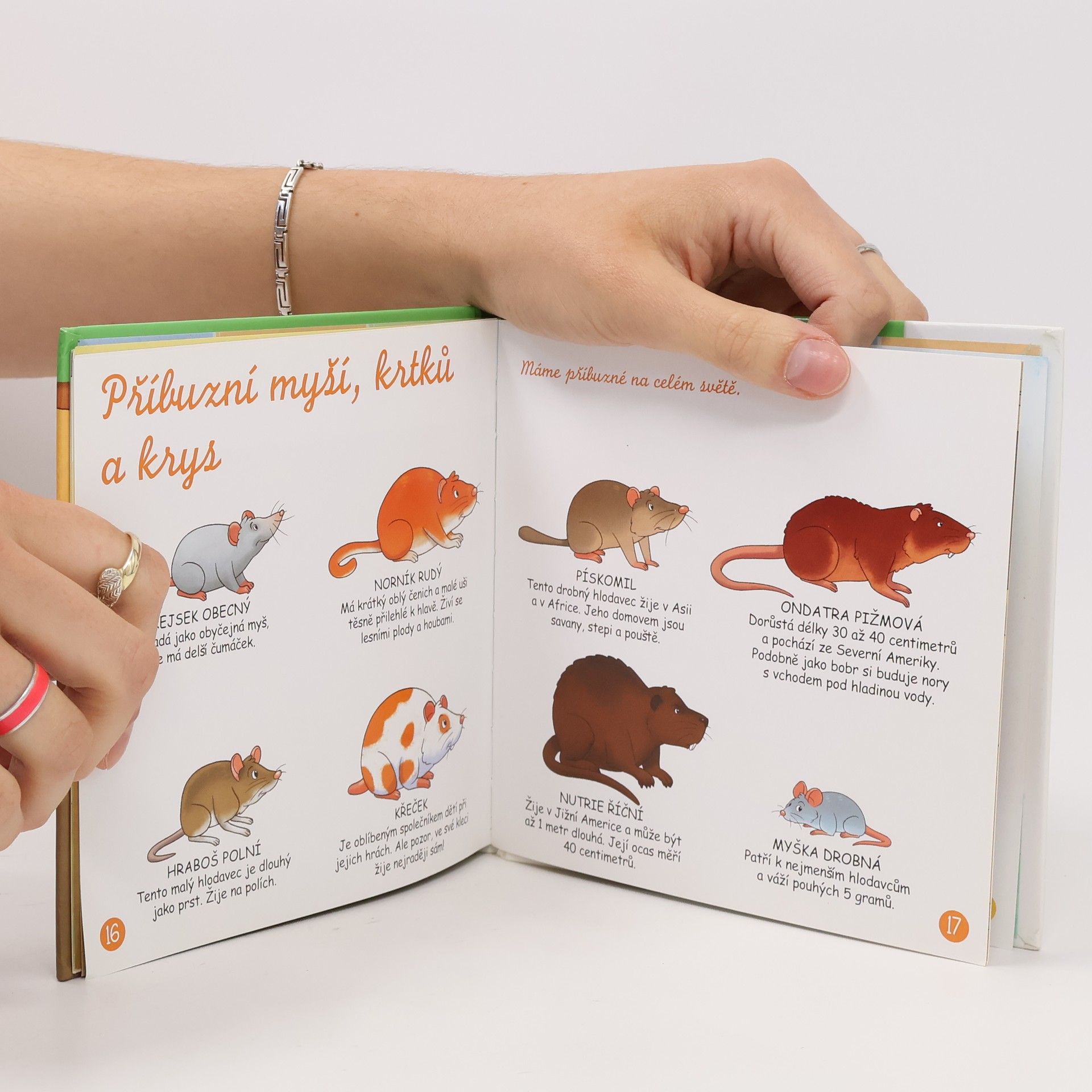 Various authors Myš, krysa a krtek