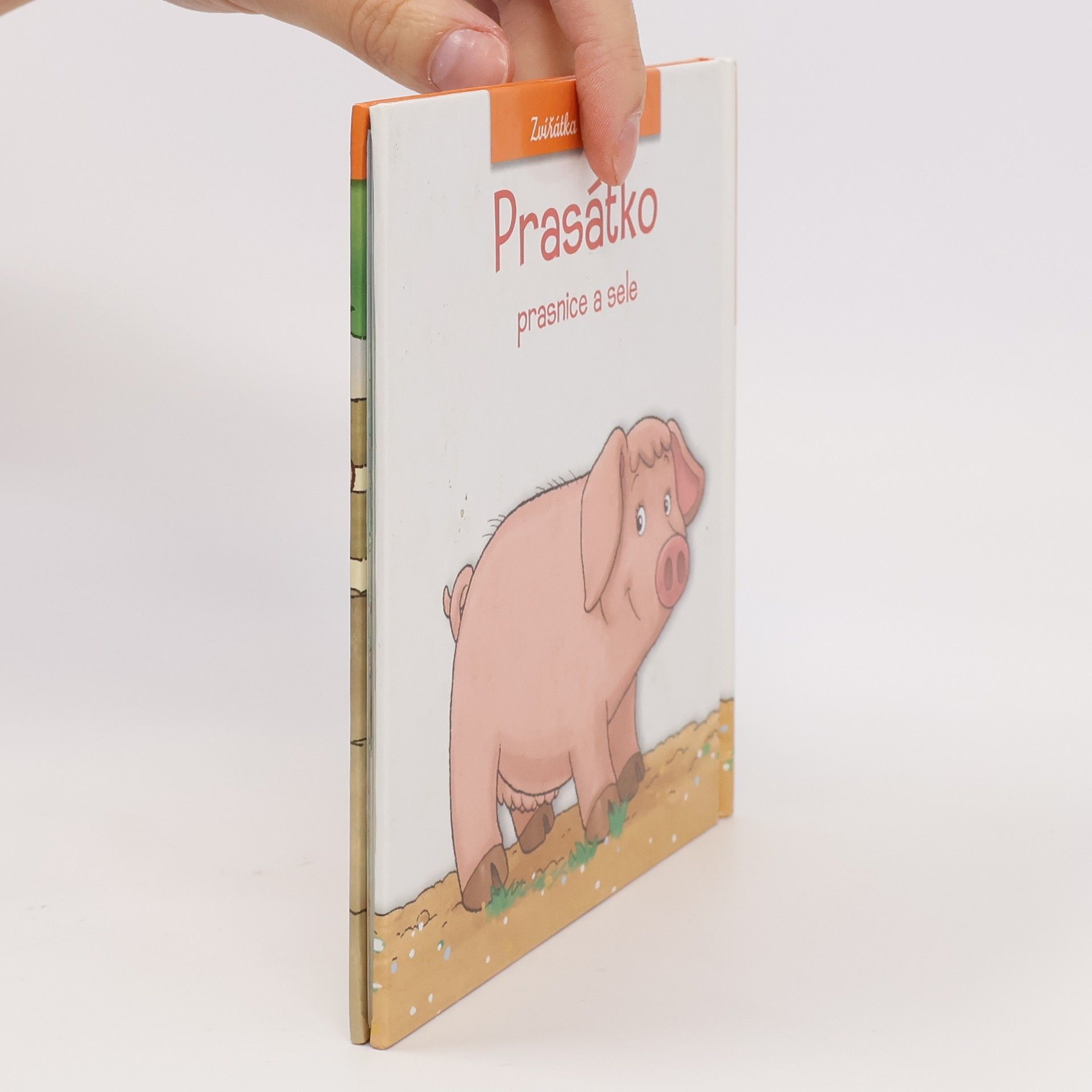 Various authors Prasátko. Prasnice a sele