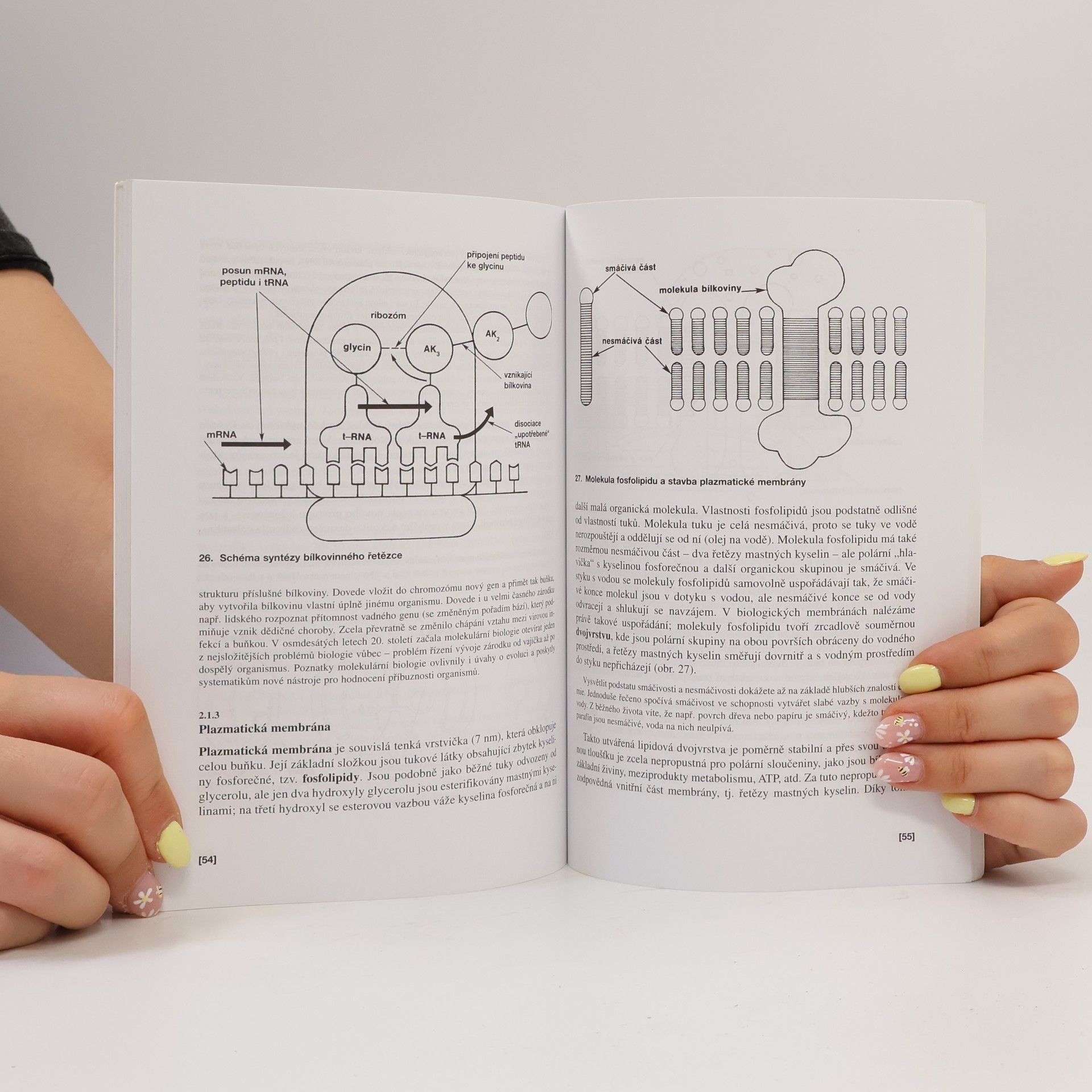 Václav Kubišta Obecná biologie. Úvodní učební text biologie pro 1. ročník gymnázií
