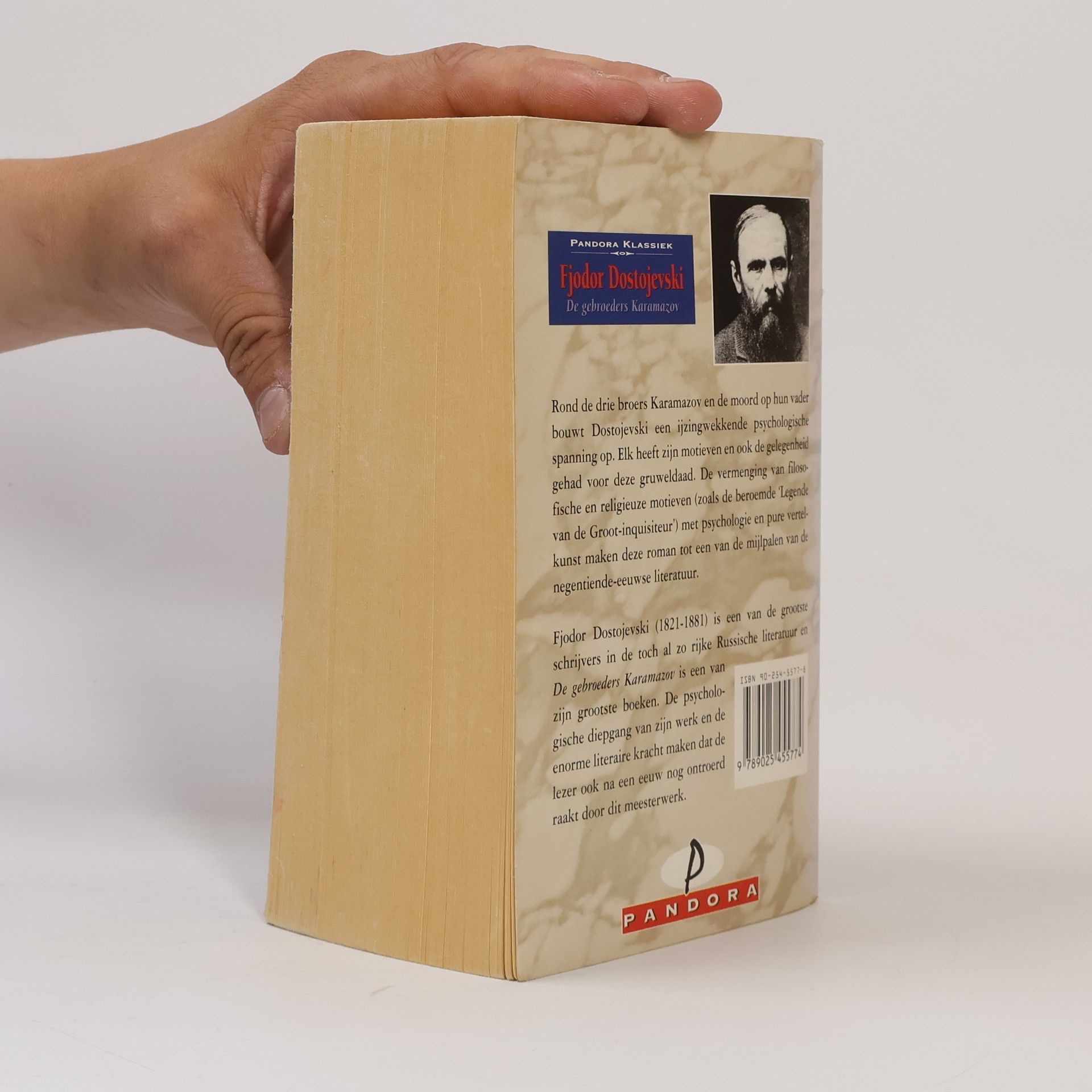 Fjodor Michajlovič Dostojevskij De gebroeders Karamazov