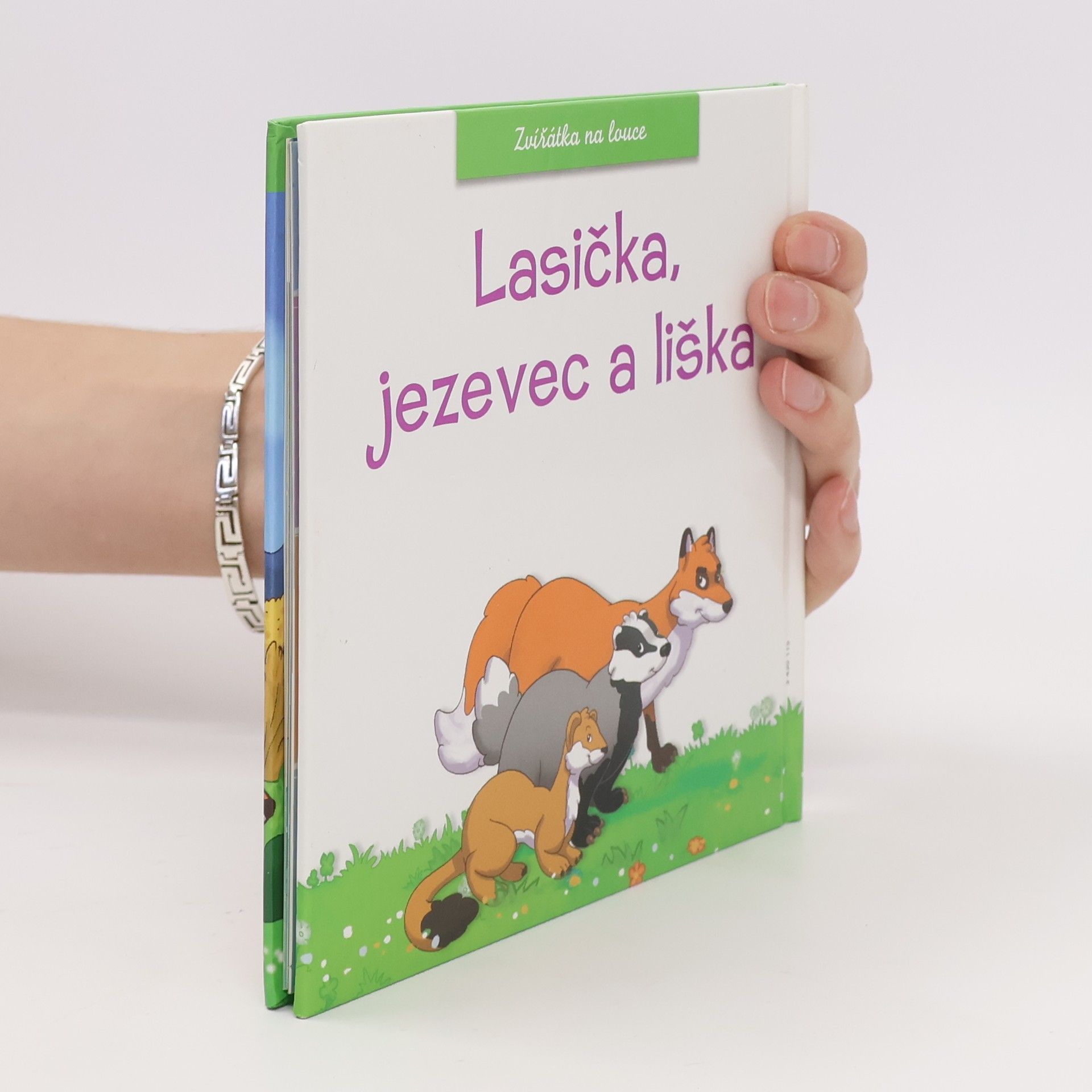HCA Creation Lasička, jezevec a liška