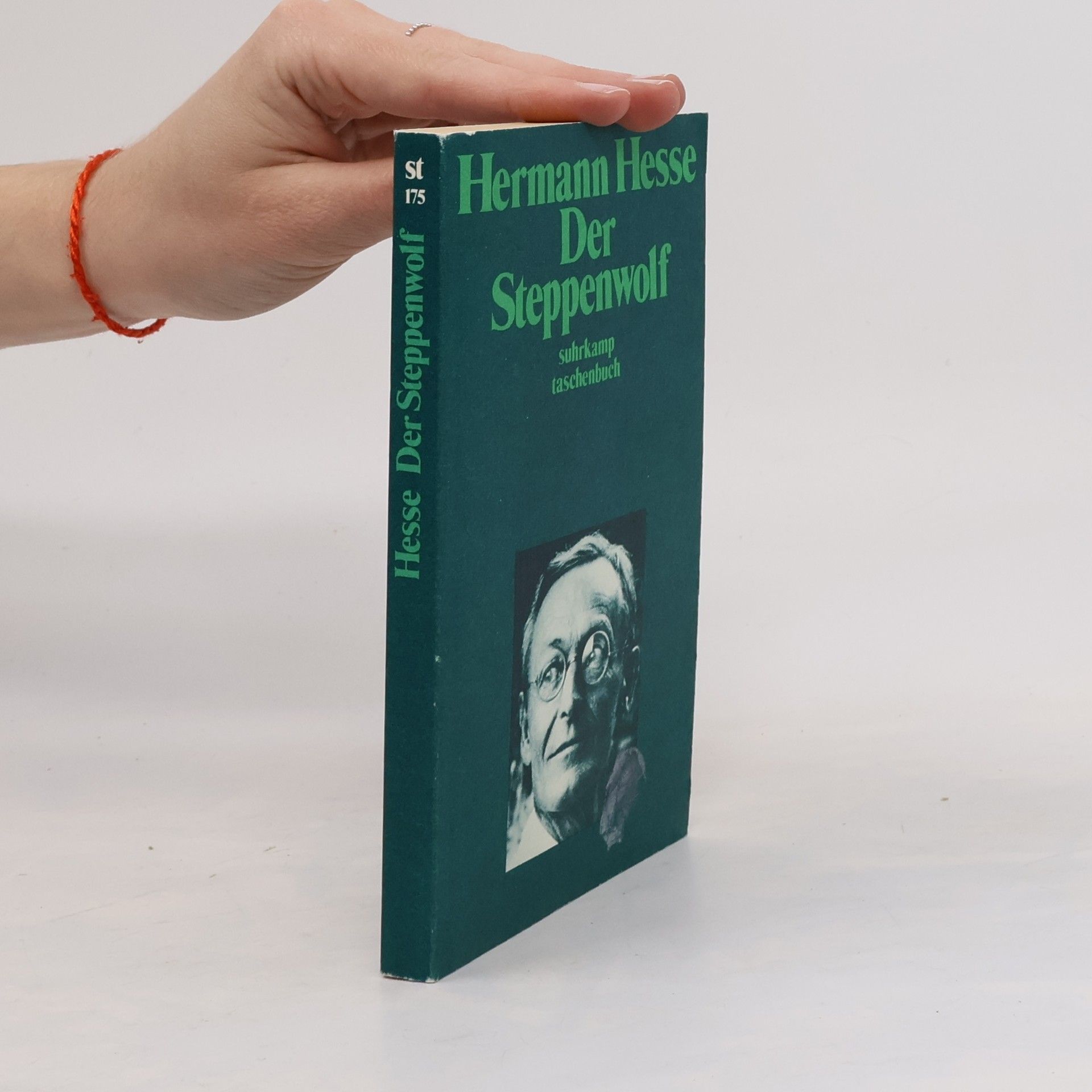 Hermann Hesse Der Steppenwolf
