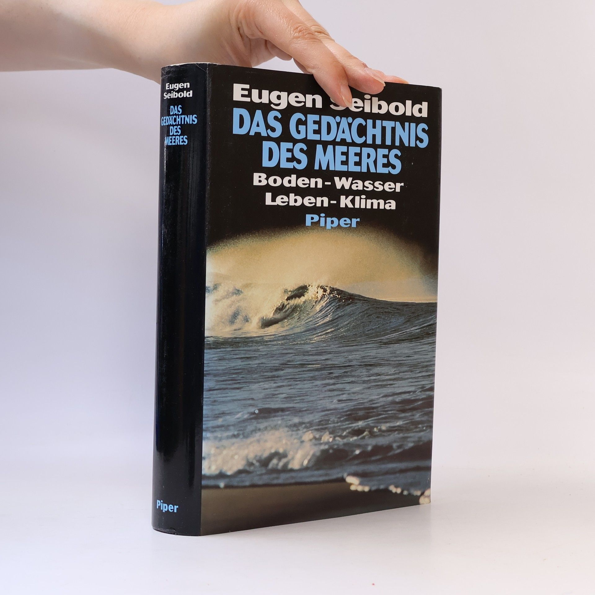 Das Gedächtnis des Meeres