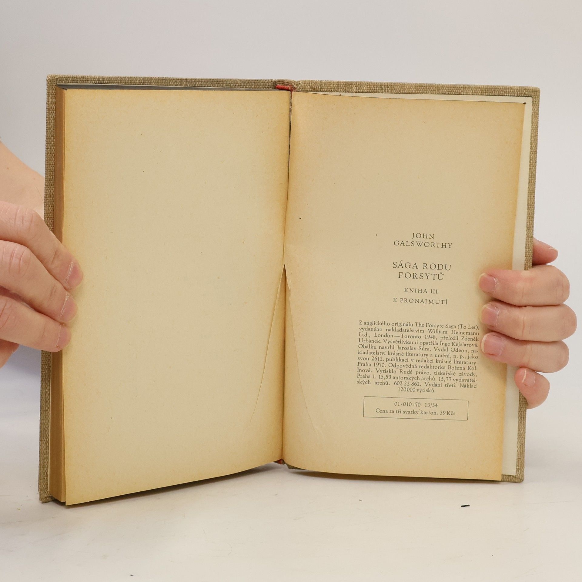 John Galsworthy Sága rodu Forsytů III. K pronajmutí