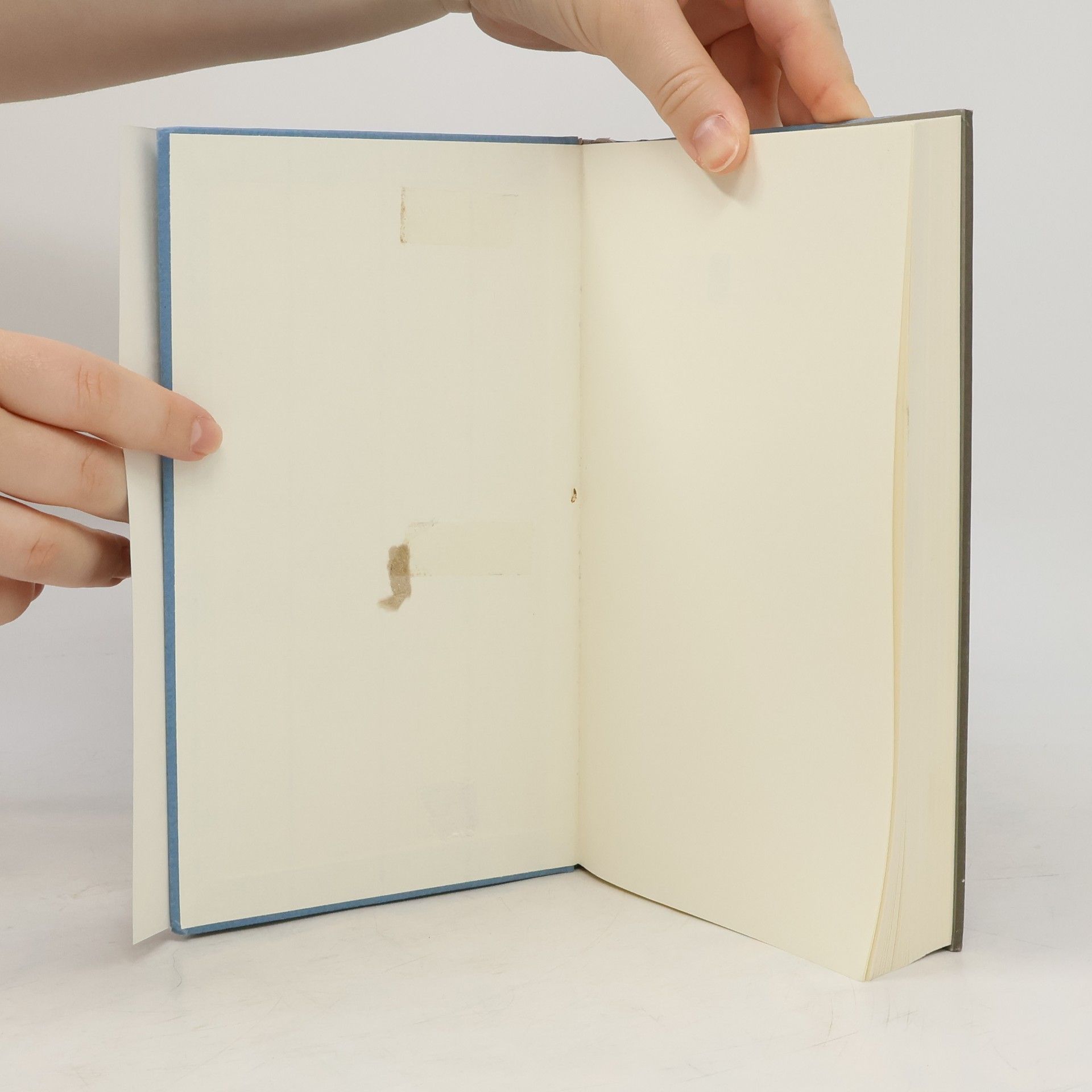 Elias Canetti Das Buch gegen den Tod
