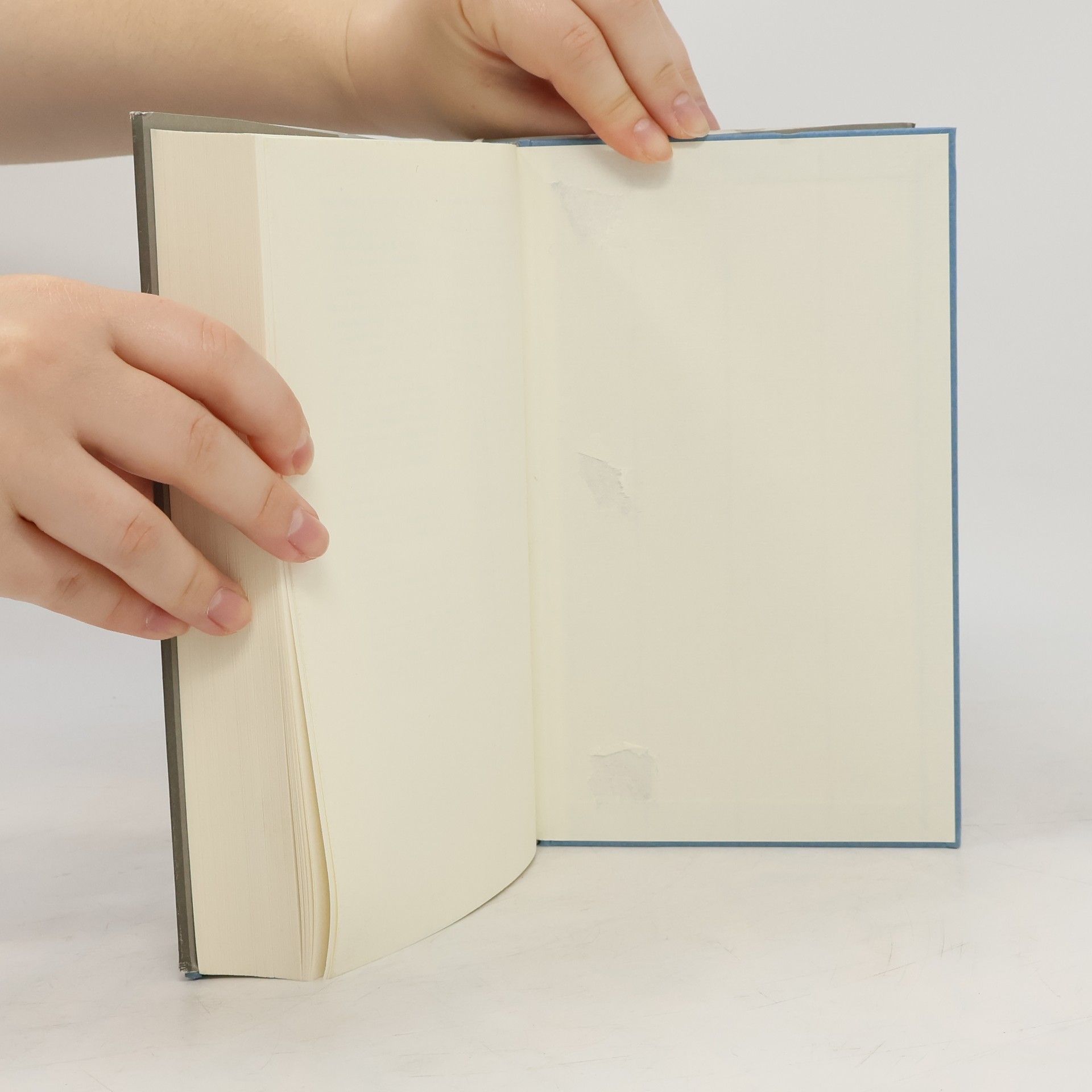Elias Canetti Das Buch gegen den Tod