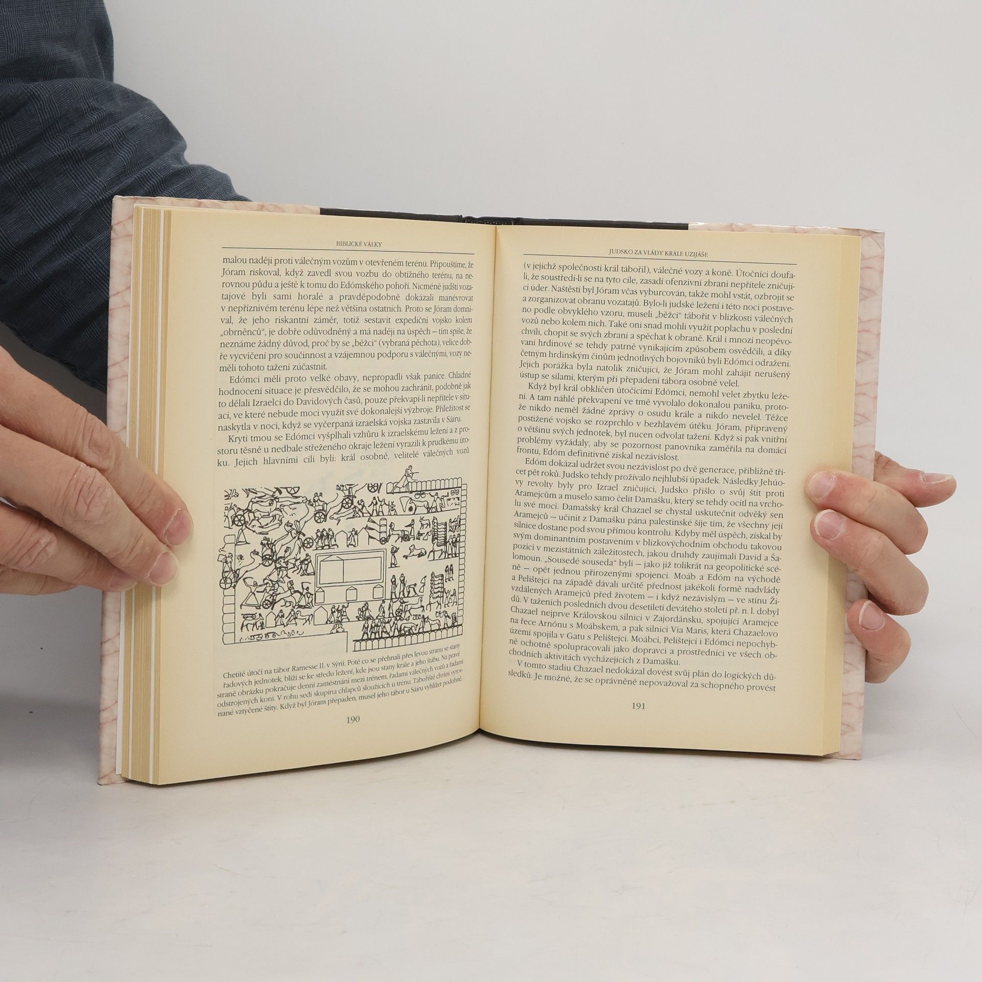 Chaim Herzog Biblické války