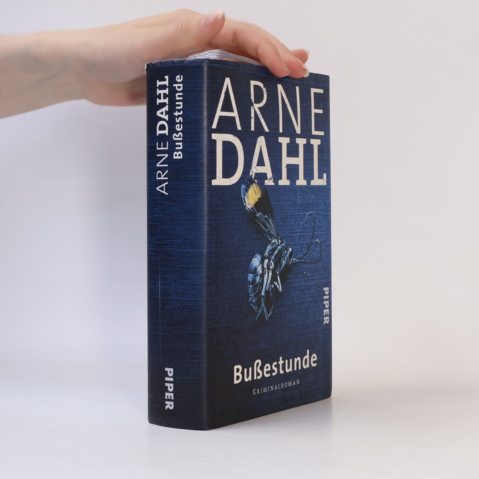 Arne Dahl Bußestunde