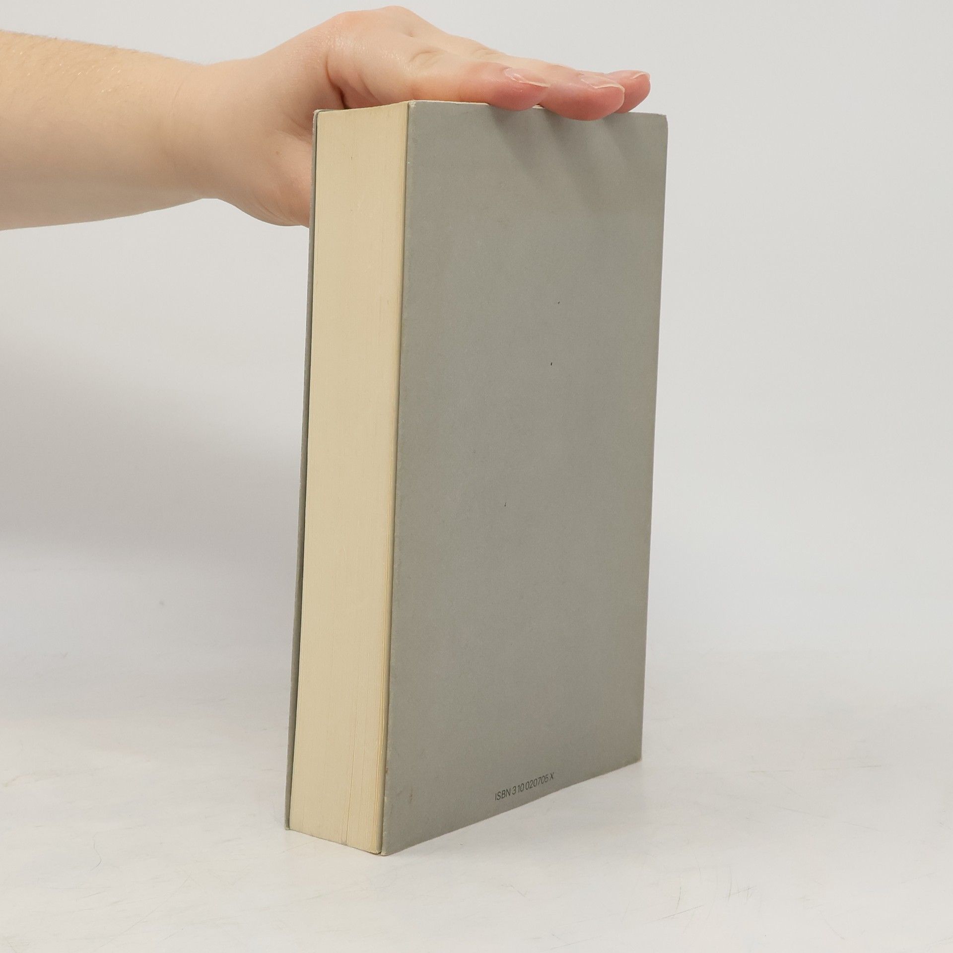 Hubert Fichte Die Palette: Roman