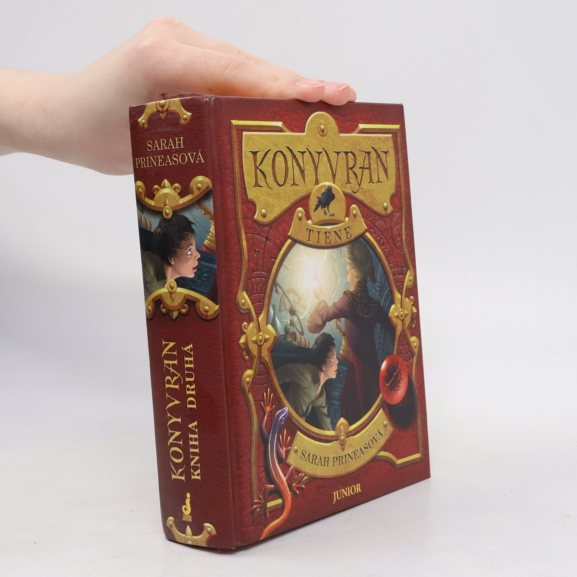 Sarah Prineas Konyvran, Tiene