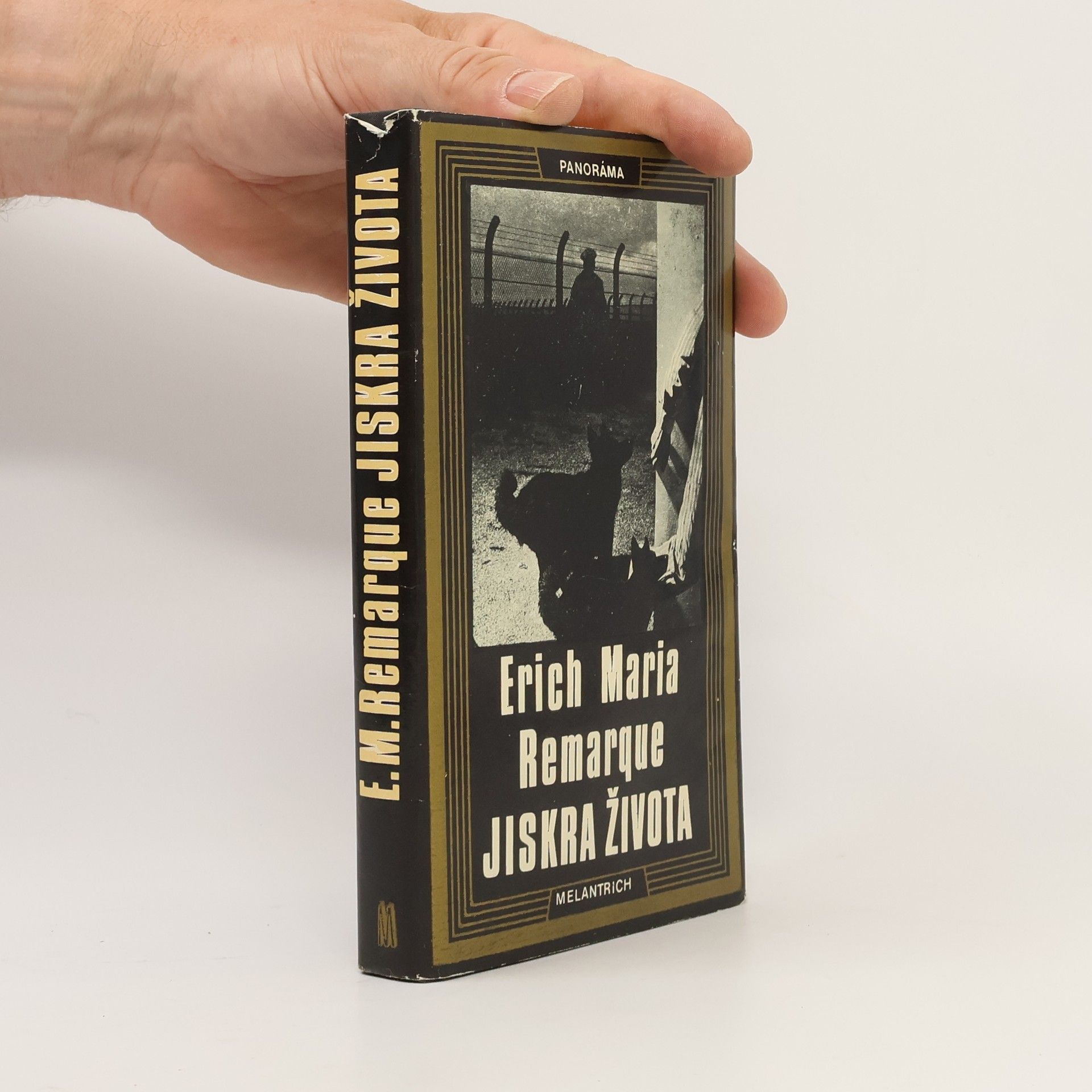 Erich Maria Remarque Jiskra života
