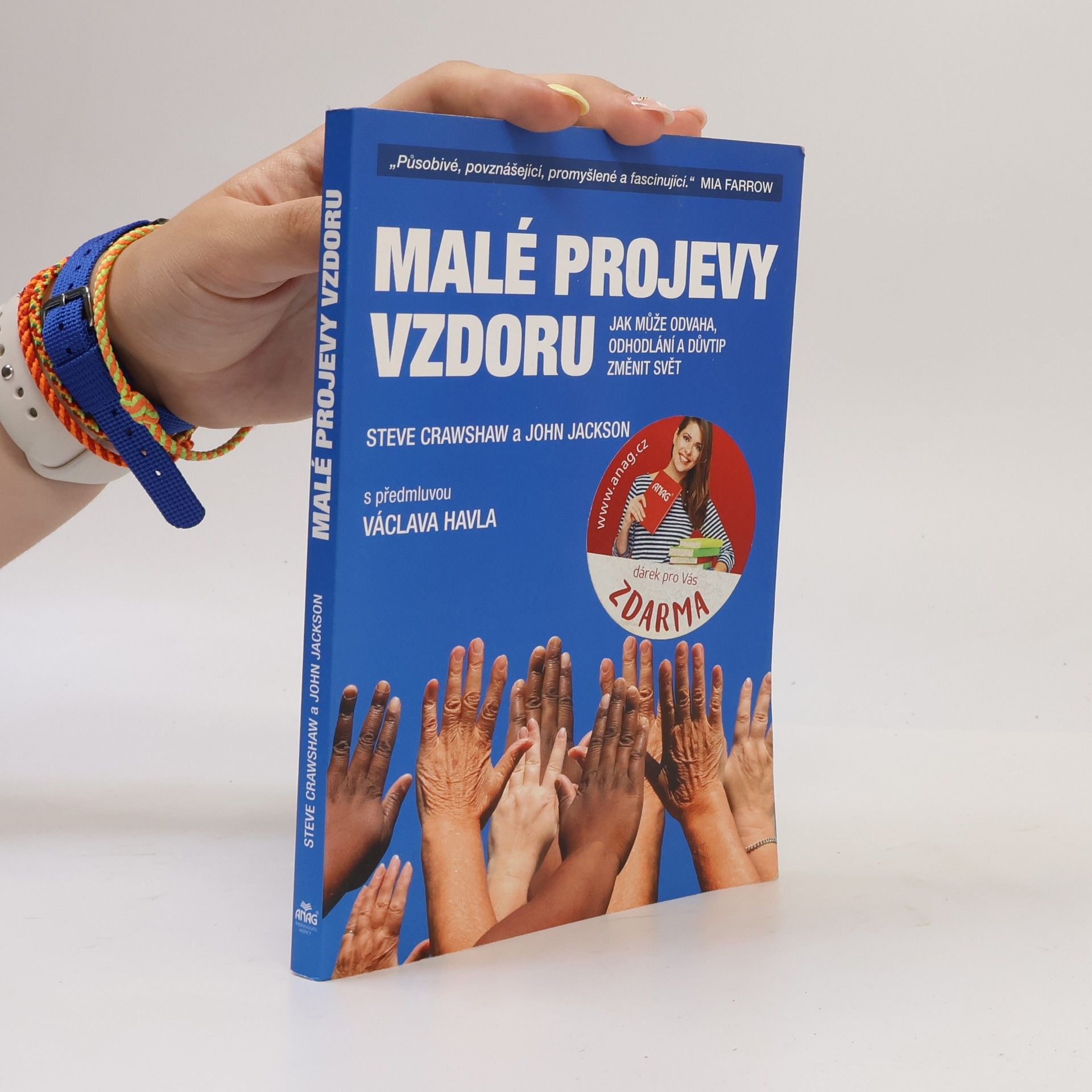 Steve Crawshaw Malé projevy vzdoru : jak může odvaha, odhodlání a důvtip změnit svět